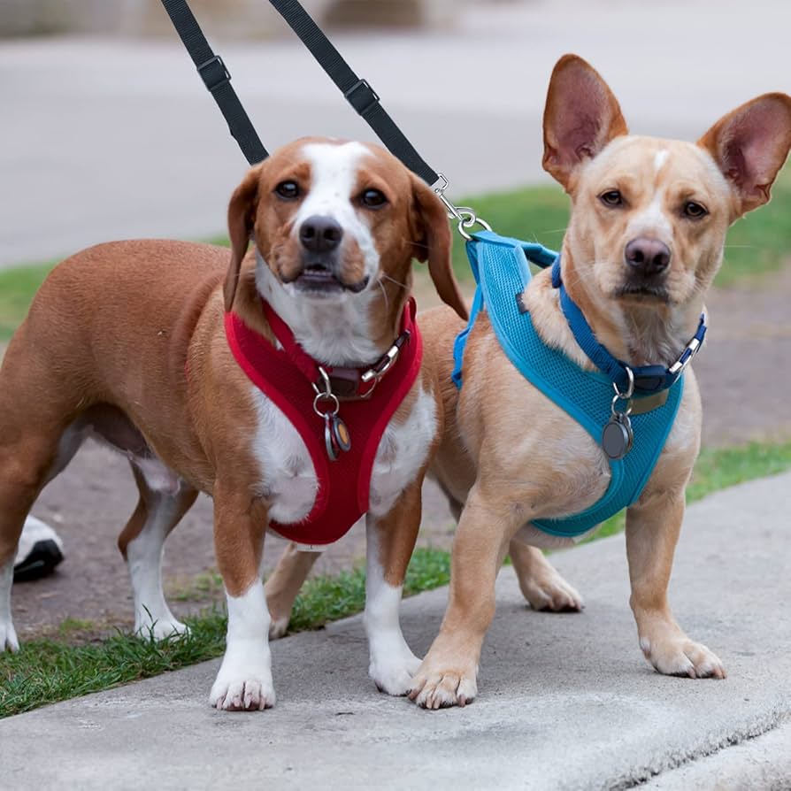 Dubbele Hondenriem Voor Kleine Honden - 2-weg Lijn, 90cm, Klitvrij En Draaibaar