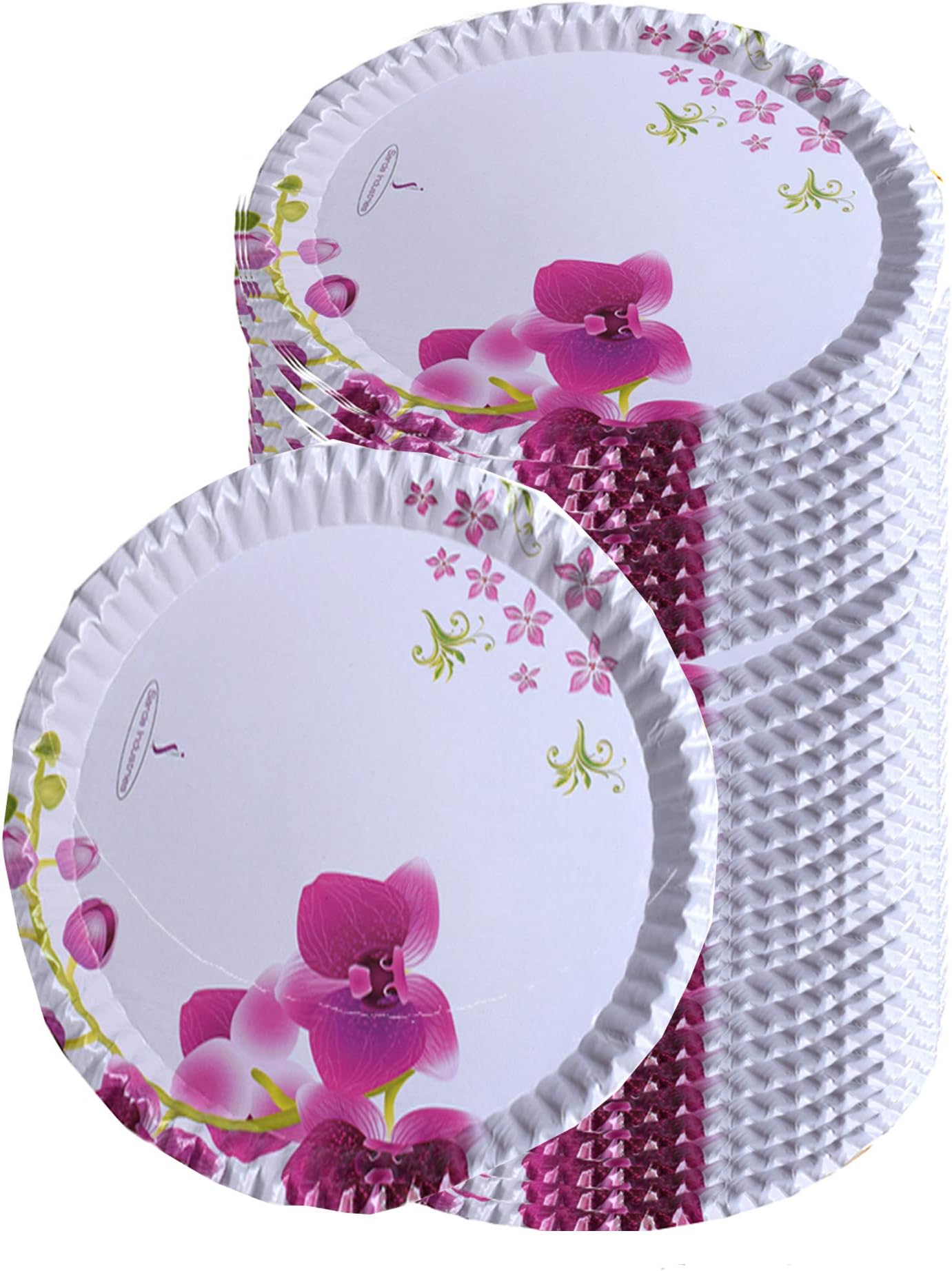 RED WIND 100% Biodegradable_Eco Friendly_12 Inch Paper Dinner Plates_Pack of 100_Natural Paper Plates_RW29
