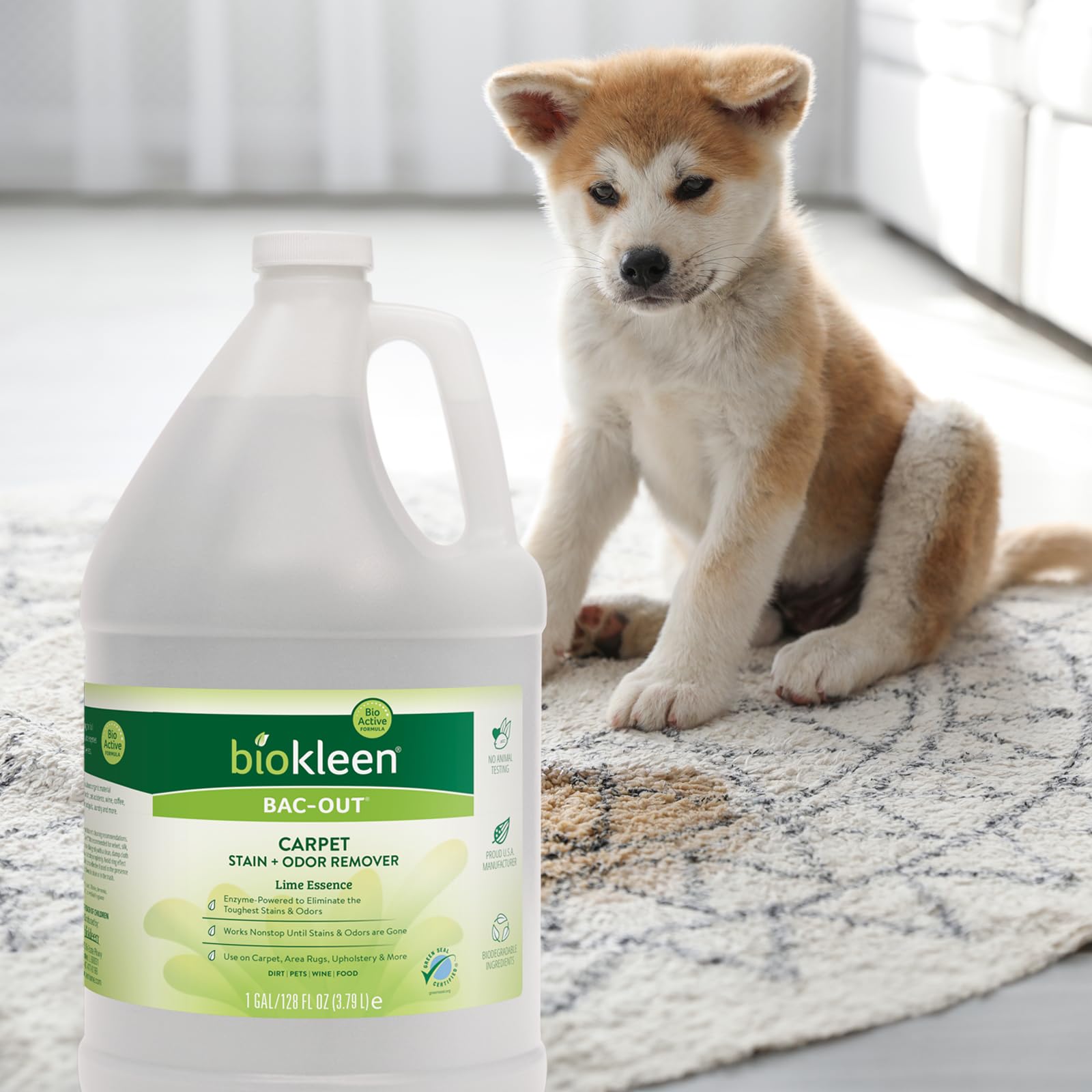 Biokleen Bac-Out Carpet Cleaner, 3,8 Litres | Nettoyant pour Tapis, Détachant et Odeur Enzymatique