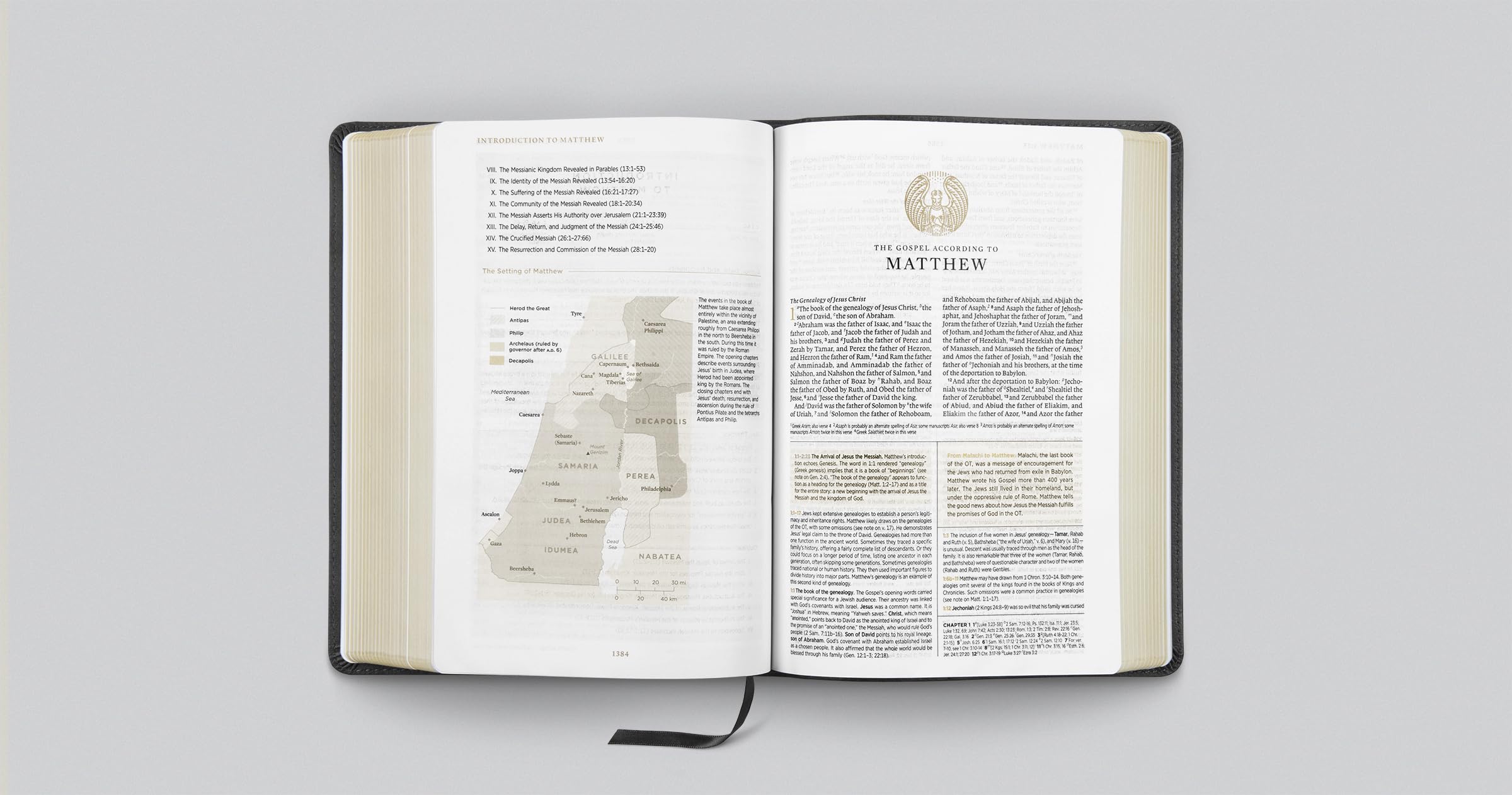 ESV Men's Study Bible (Trutone, Charcoal, Shield Design): English Standard Version, Charcoal, Shield Design, Trutone, Men's Study Bible With Ribbon Marker