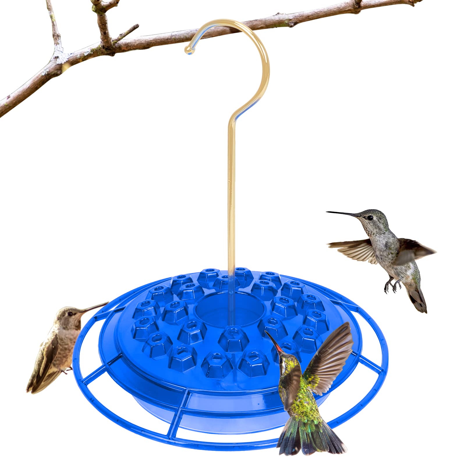 10 Mary's Hummingbird Feeders Attract More Hummingbirds to Your Garden