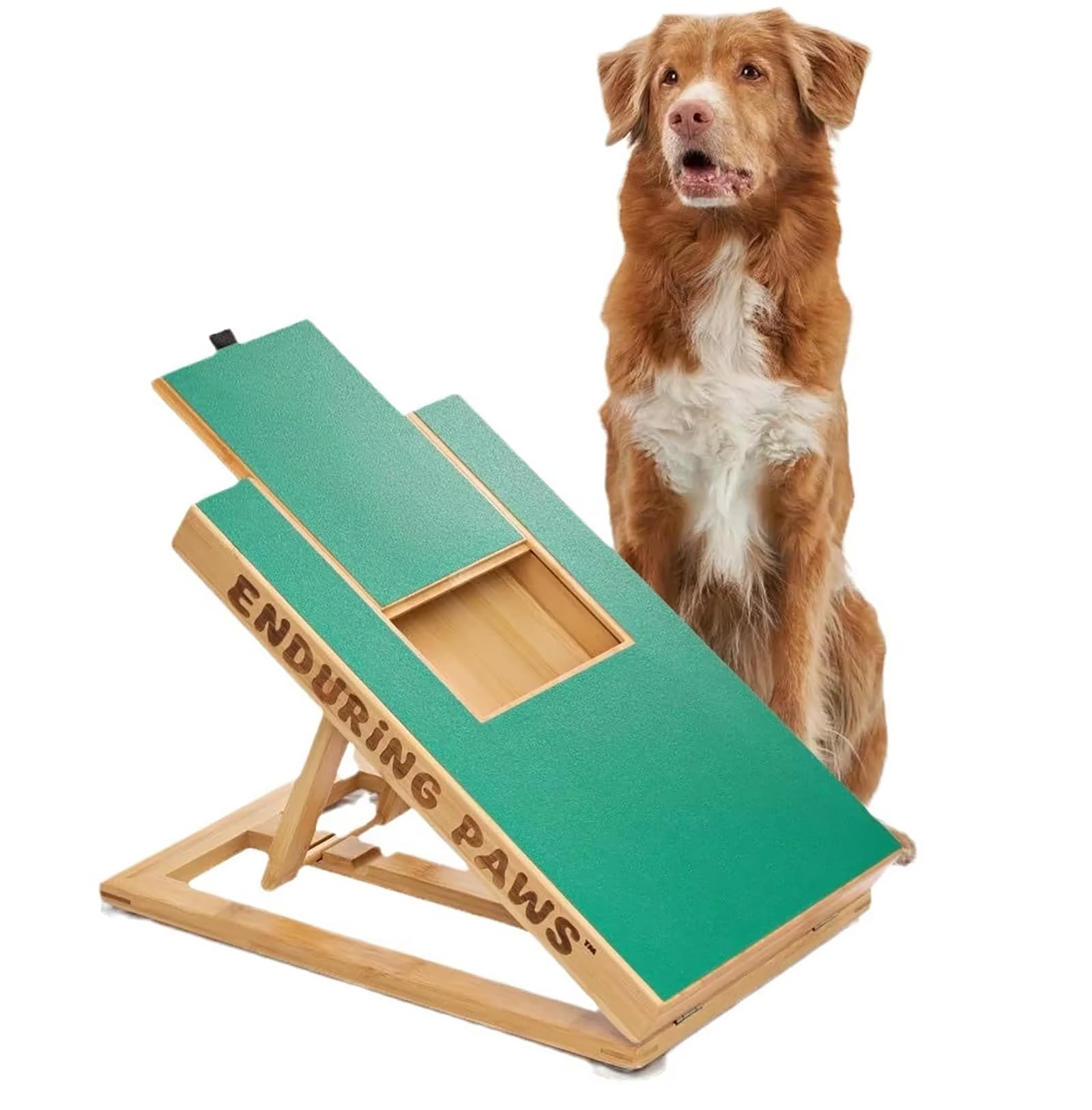 FXNFXLA Dog Nail Scratch Board with Treat Drawer, Portable Nail Scratcher Board for Dogs, Interactive Dog Nail File Board for Stress-Free Trimming