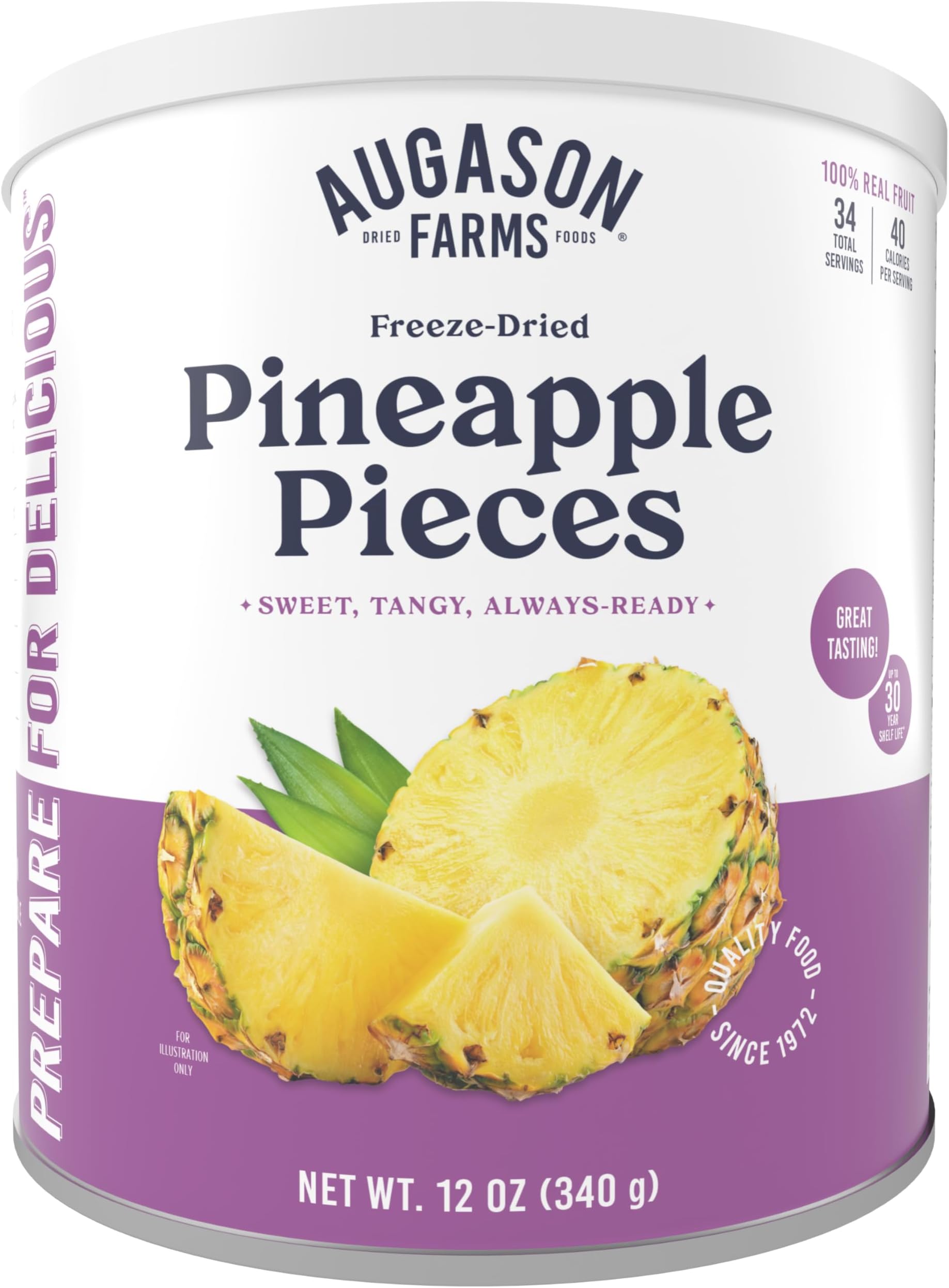 Freeze Dried Pineapple Pieces Can