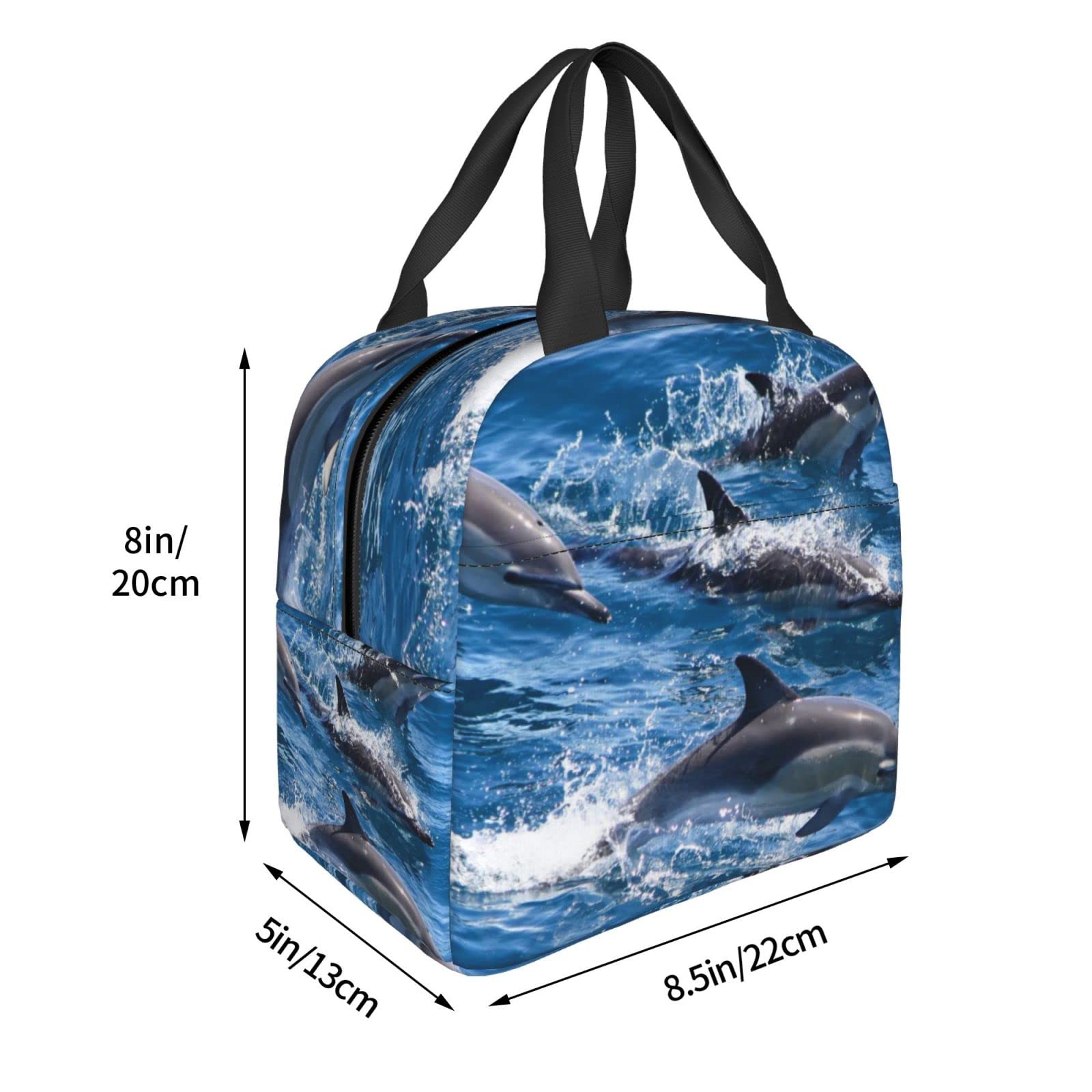 KOBLEN Delfin-Lunch-Tasche – Isoliert, 24,9x17x22,6 Cm, Mit Vordertasche, Wasserdicht, Für Arbeit & Picknick