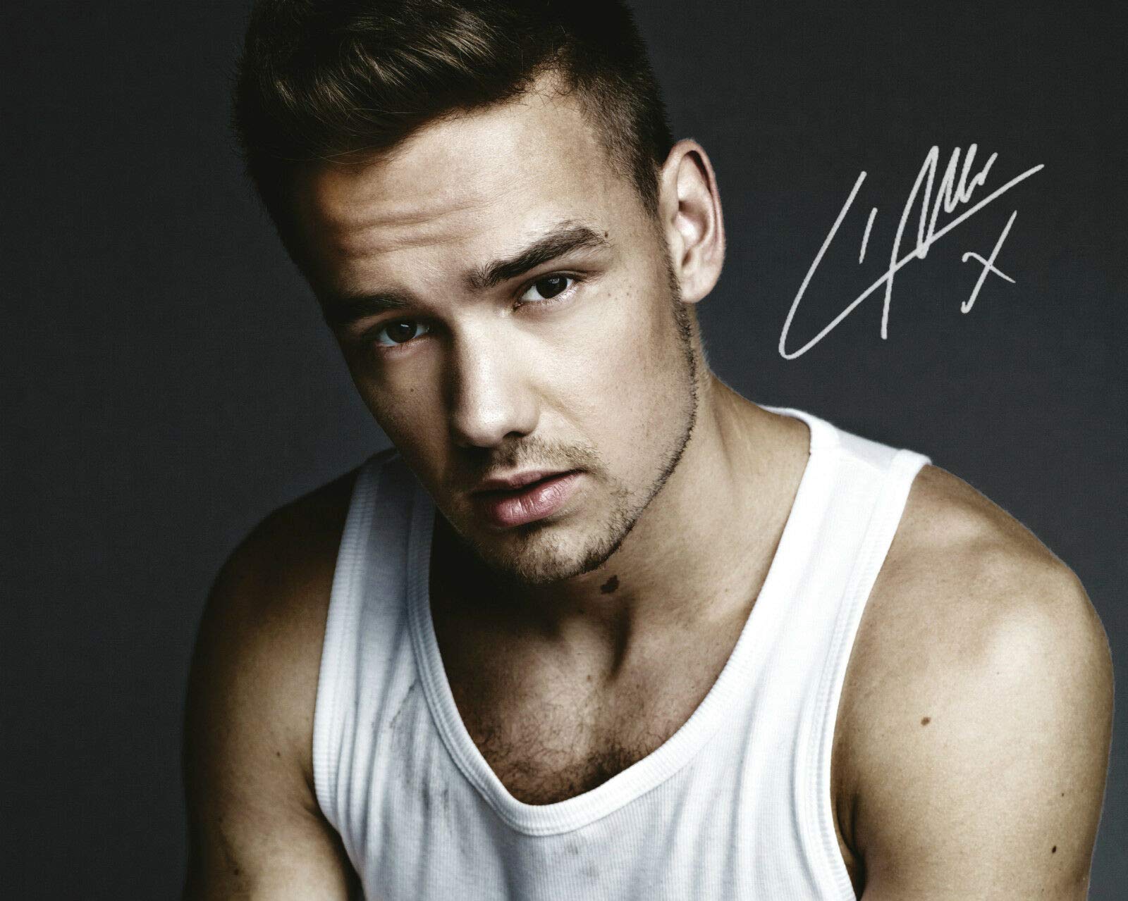 DS Liam Payne Autographed Signed A4 21cm x 29.7cm Poster Photo