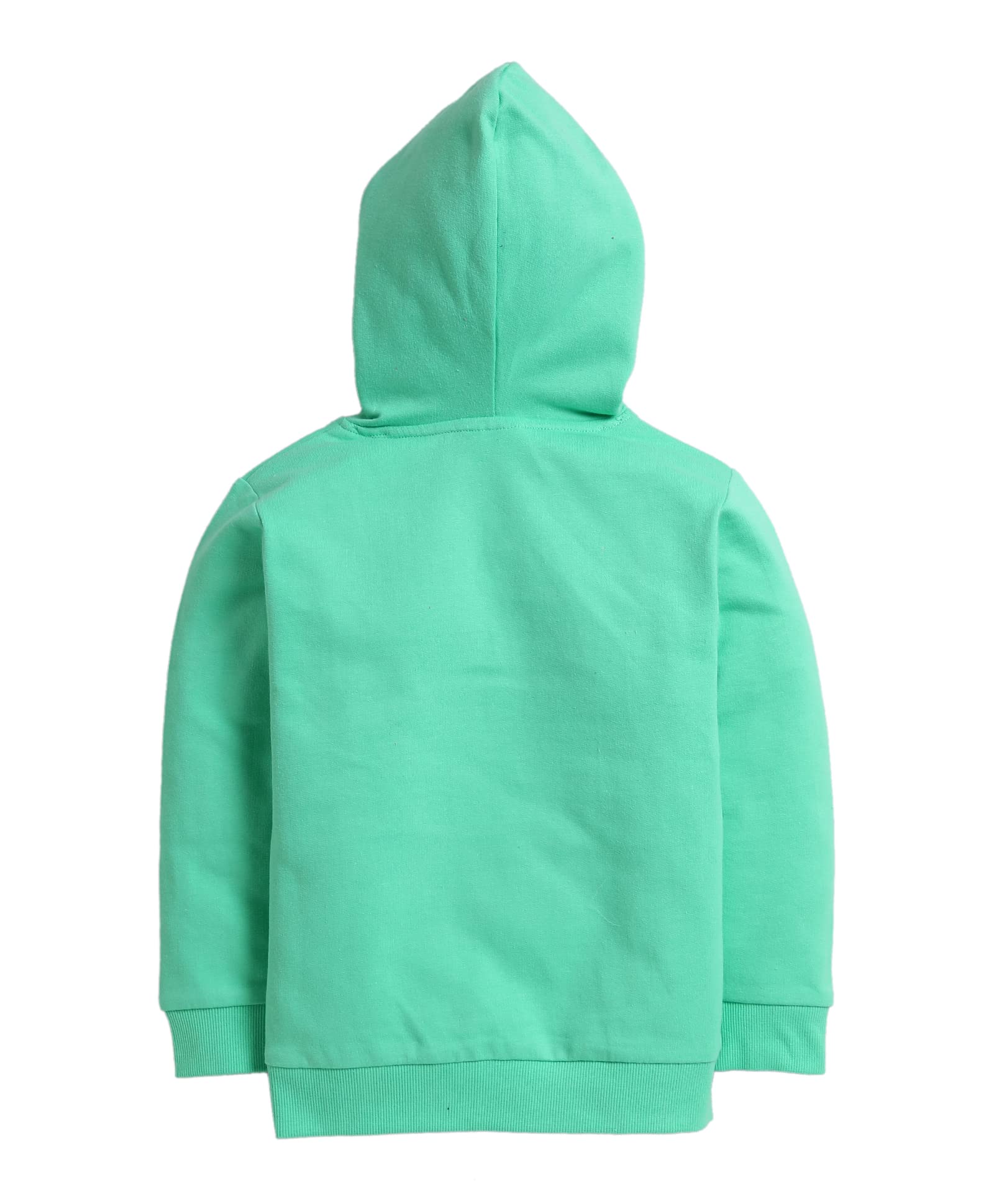 MINITATU Girl's Cotton Neck Hooded Sweatshirt (MT-3298E-AN_Turquoise Green_12-18 Months)