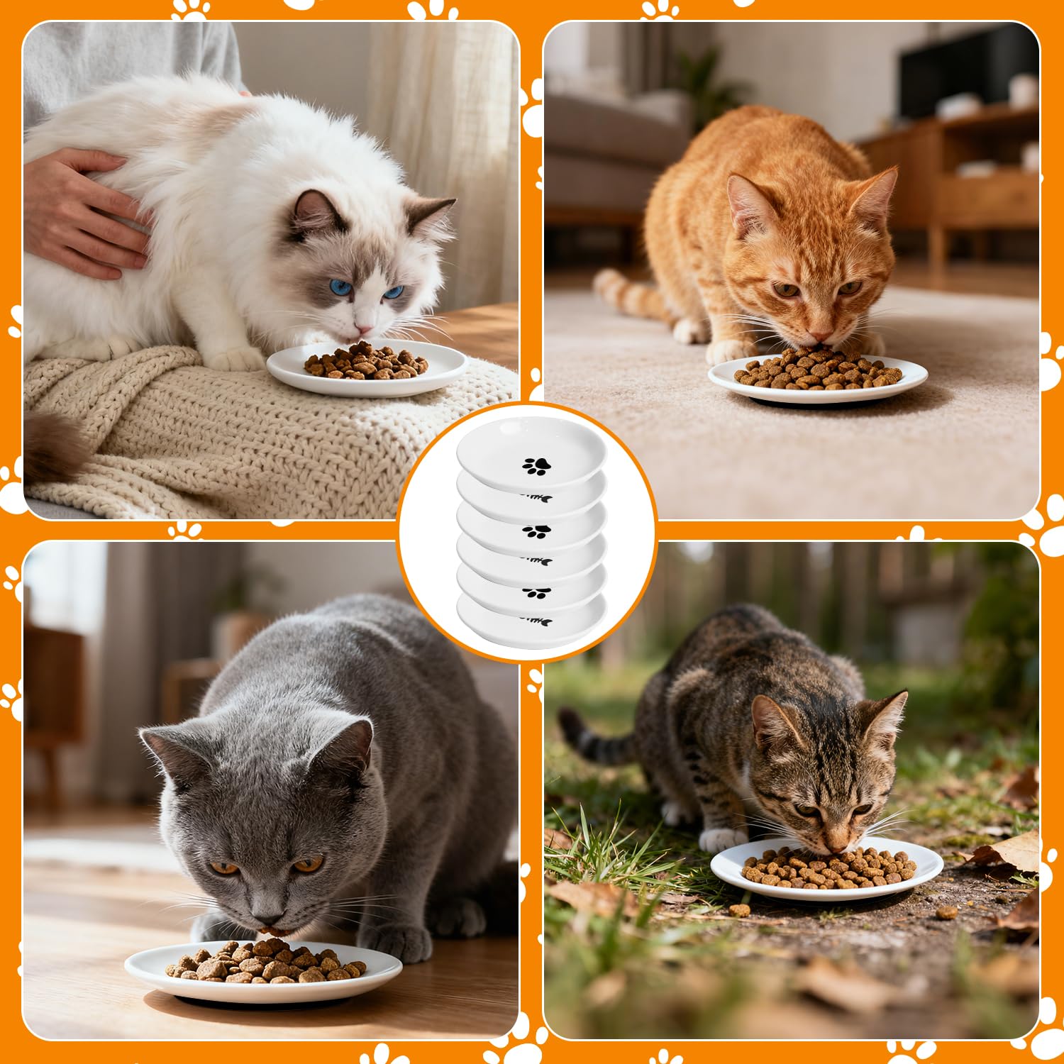 6 pezzi Ciotole per Gatti in Ceramica, Con Base in Gomma Antiscivolo, Ciotola Piatta Gatti per Alleviare L'affaticamento Dei Baffi, per Piccoli Animali - Ideali per Gli Amanti Dei Felini