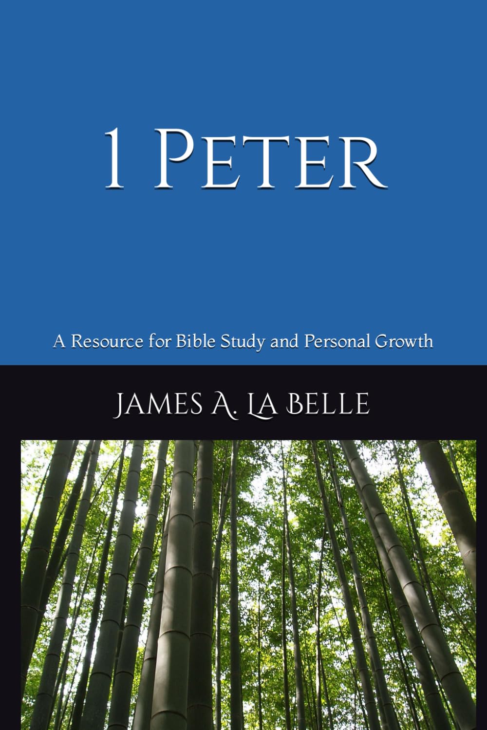 1 Peter: A Resource for Bible Study and Personal Growth (Sermon Outlines)