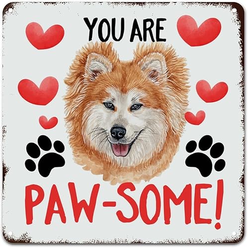WoGuangis Letrero de metal de aluminio con texto en inglés "You Are Paw Some de San Valentín, Chow Chow Dog", letrero de metal para colgar en la
