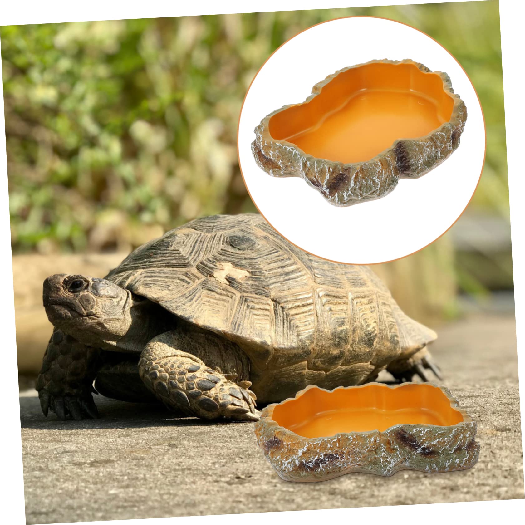 BESPORTBLE 3piezas Tazón De Alimentación para Reptiles Cuenco De Agua para Tortugas Decoración De Terrario Comedero para y para Reptiles y Anfibios
