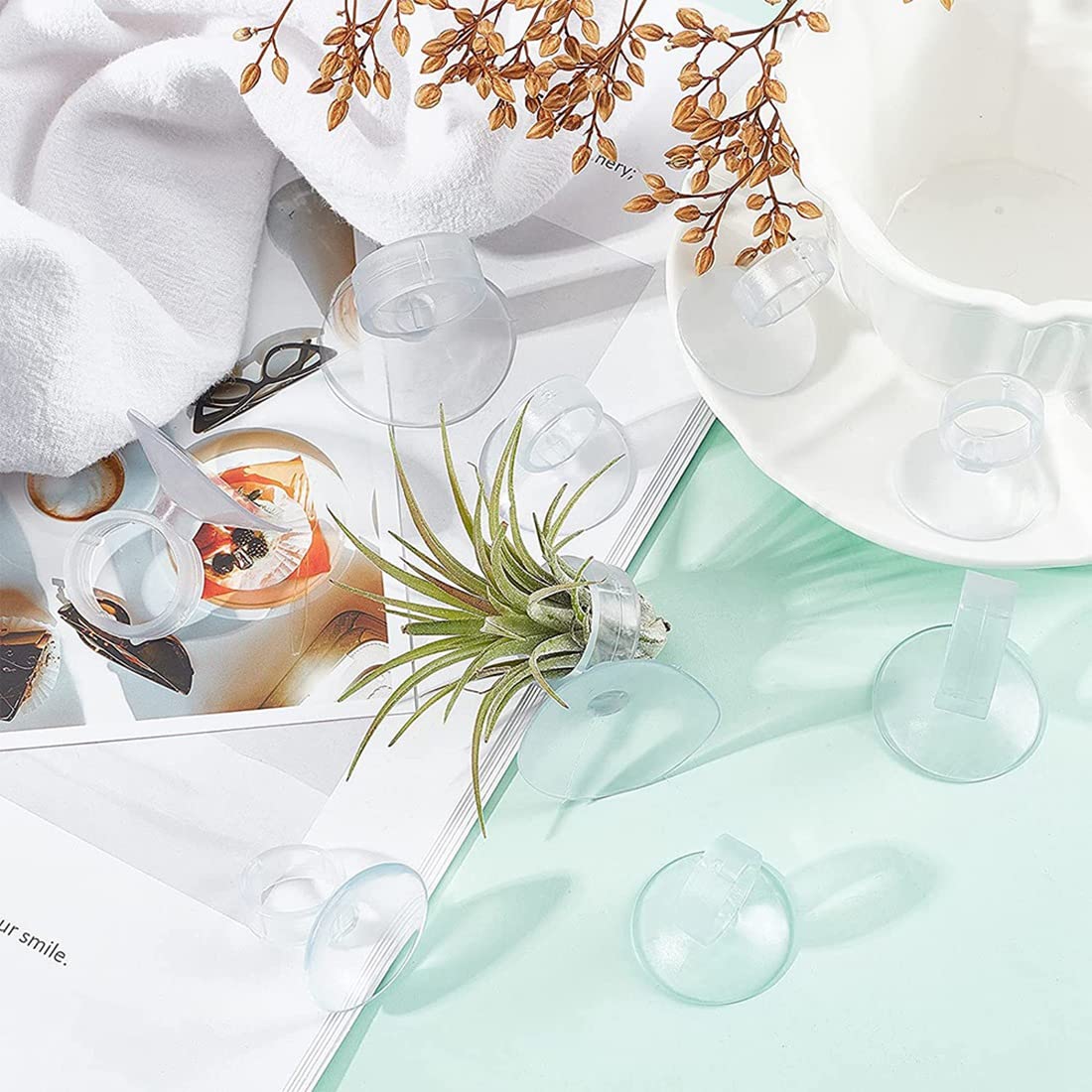 Acfthepiey 36 stuks luchtplantenstandaard, pot Tillandsia luchtplantenhouder met zuignap, voor planten die op glas hangen (planten niet inbegrepen