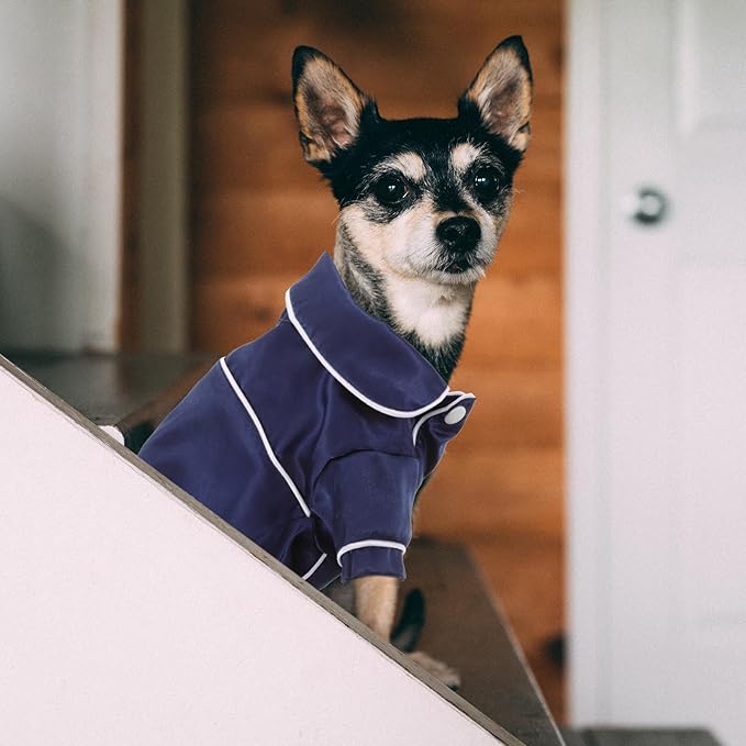 Pijama de Mascota Balacoo de Seda Falsa, Ligera, Azul, Talla S miniatura 2