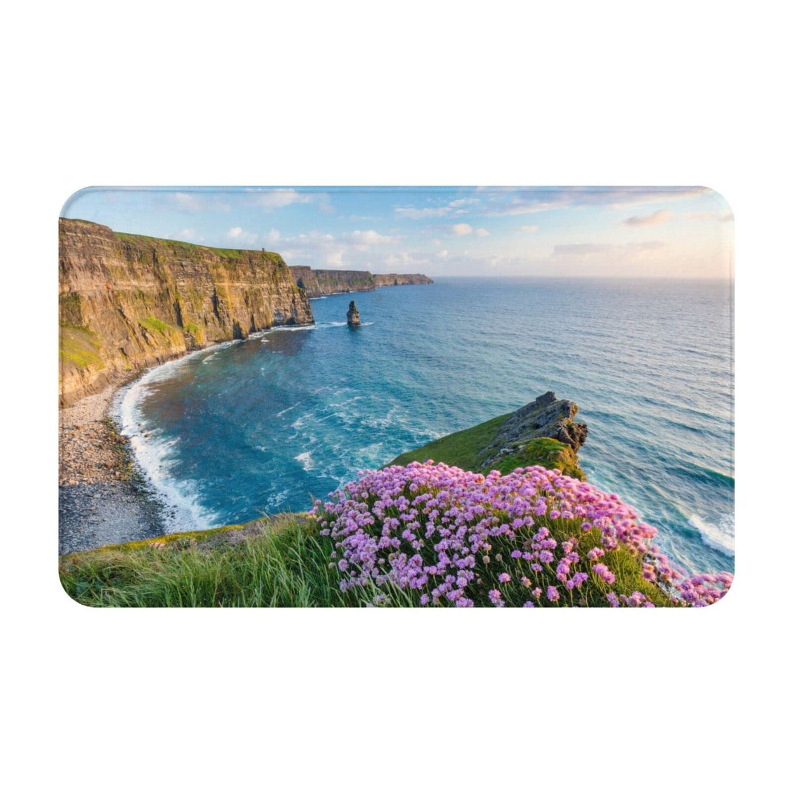 MMSJSBVY Ireland Outdoors County Clare The Cliffs Door Mat Welcome Mat, Indoor And Outdoor Non-Slip Door Mat Carpet For Bathroom Kitchen Bedroom Office 20x31.5in