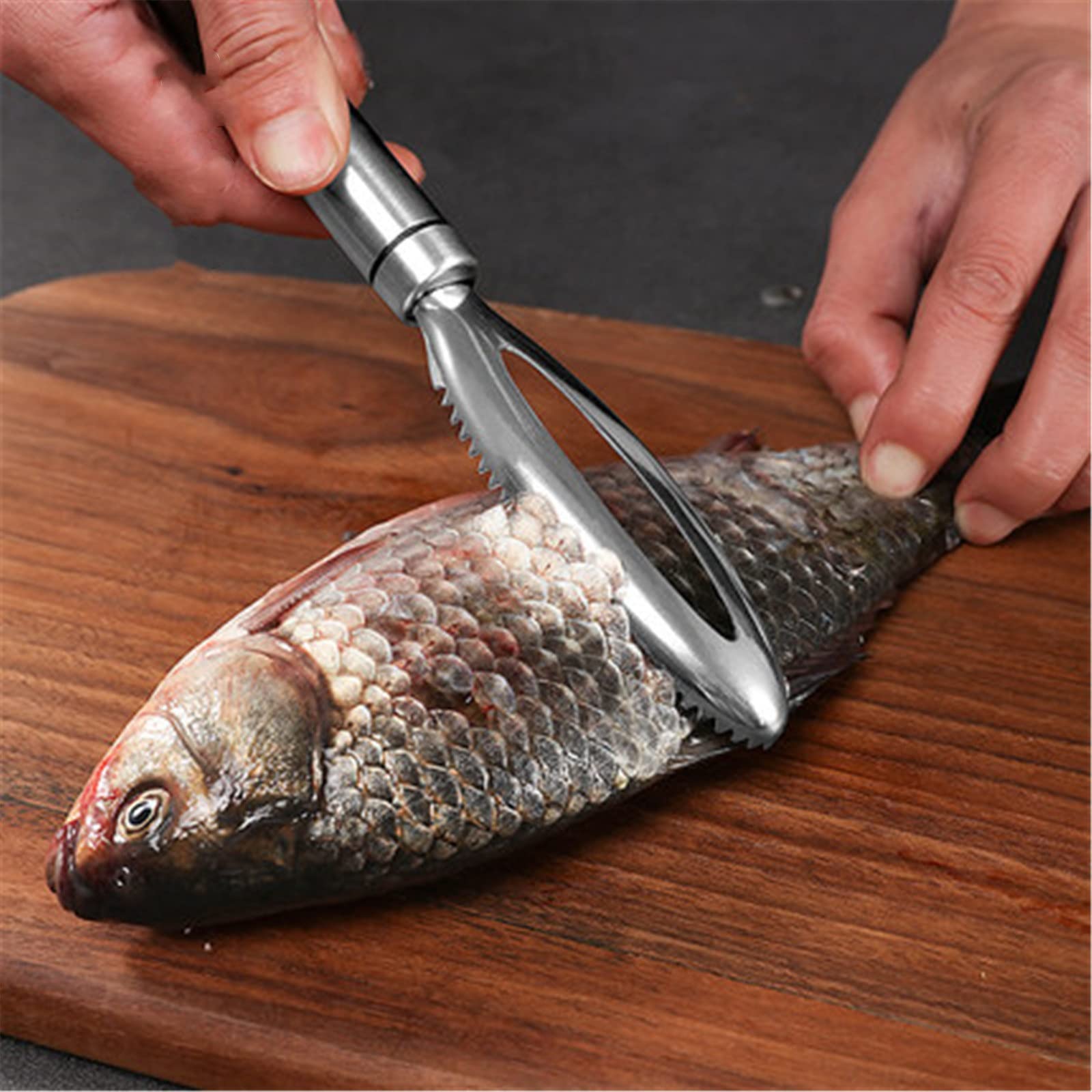 Amazon｜魚の鱗除去剤 魚のスケールのアーティファクトへの家庭の魚の