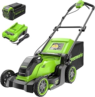 Greenworks 40V 17-Inch Cordless Lawn Mower Brushless Motor 4.0Ah Battery Charger 2-in-1 Mulch Bag Push Mower