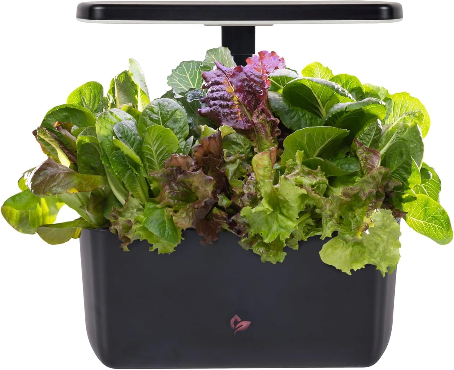 AeroGarden Harvest Lite system with plants growing under an LED light