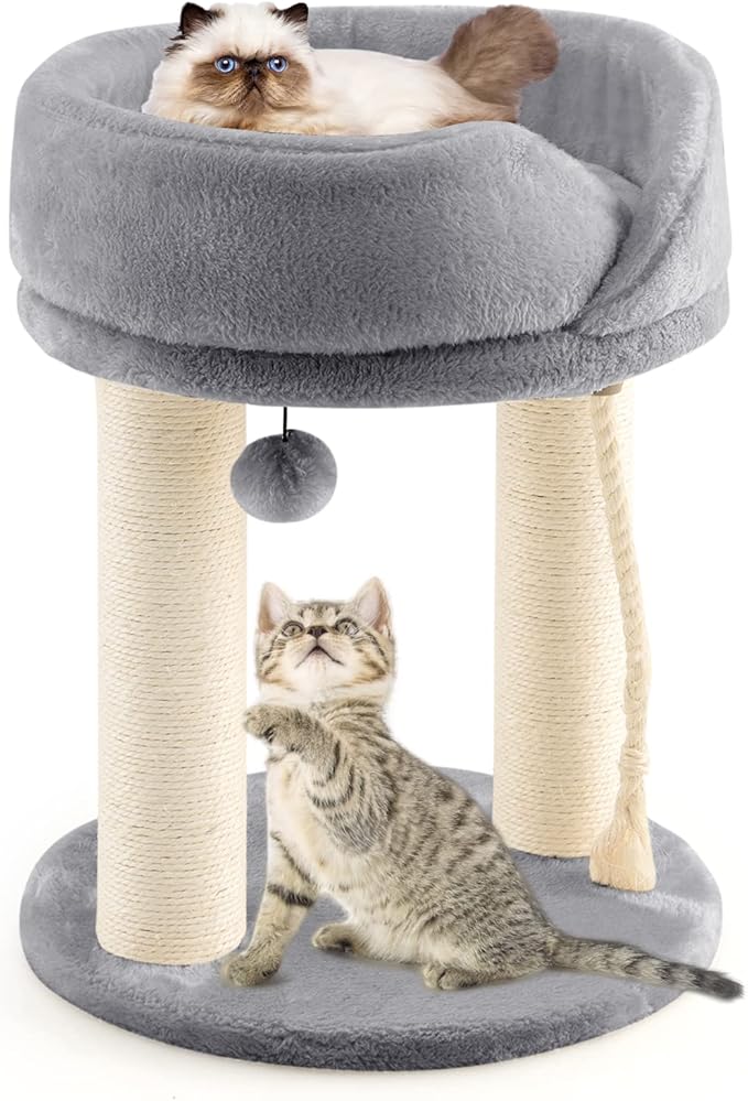 PETSITE 21" Small Cat Tree, Kitten Activity Center with
