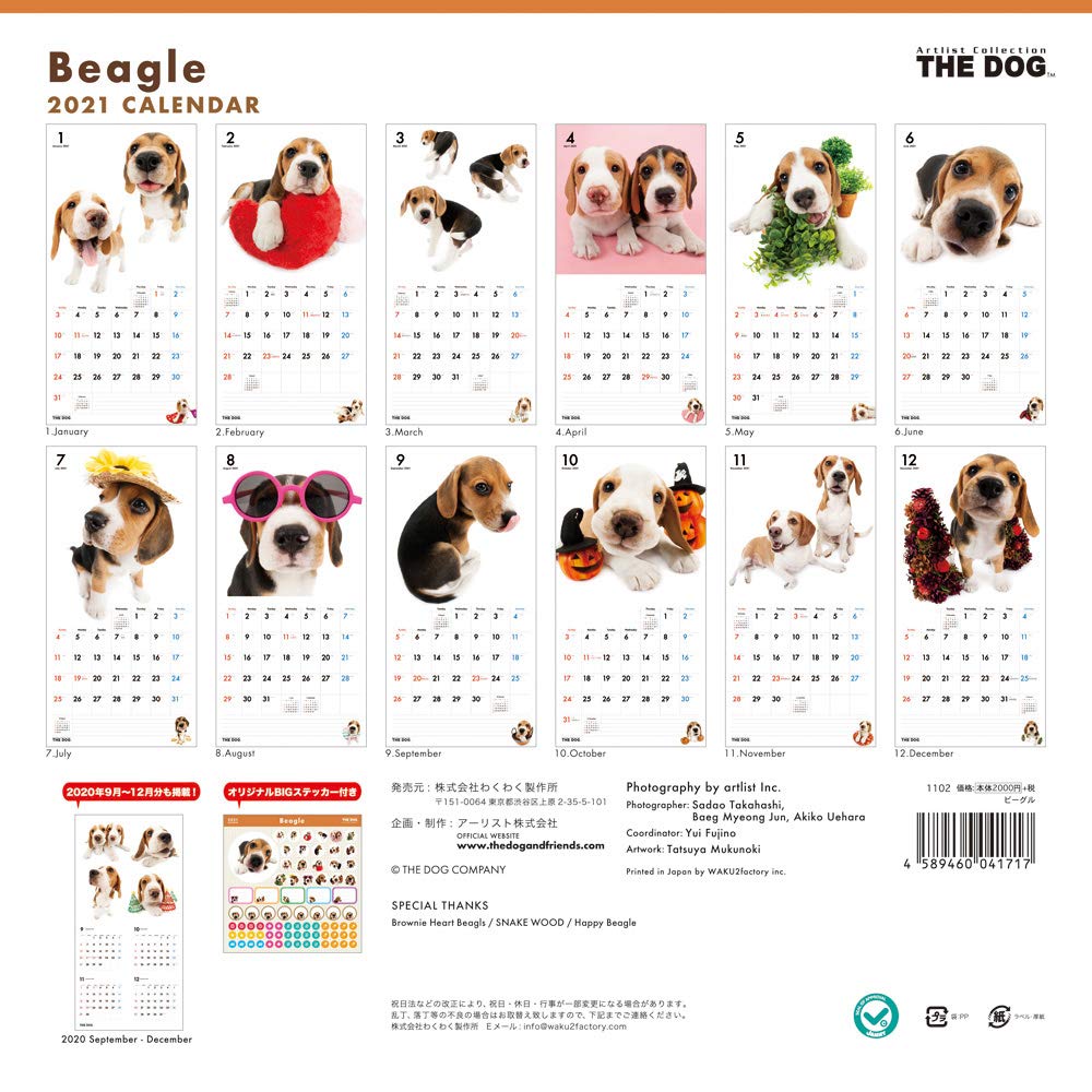 Amazon | THE DOG 2021年 ミニカレンダー (ビーグル) (2021, 大判