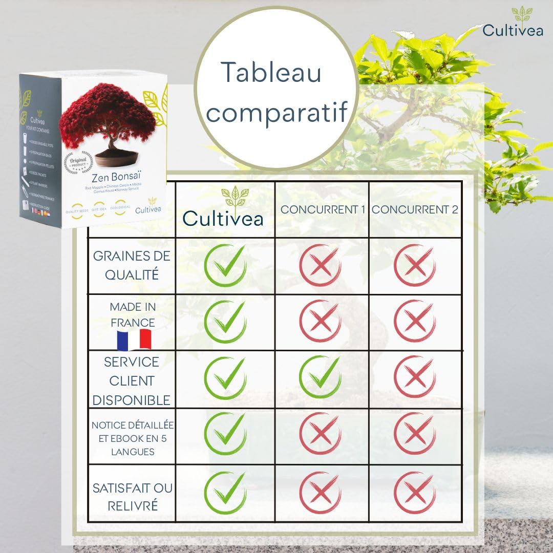 CULTIVEA Set mit 3 Bonsai-Samen – französische Samen, 100% ökologisch – Gärtnern & Dekorieren – Geschenkidee (Red Mapple, Chinesische Cercis, Juniperus, Liquidambar, Norway Spruce) – hergestellt in