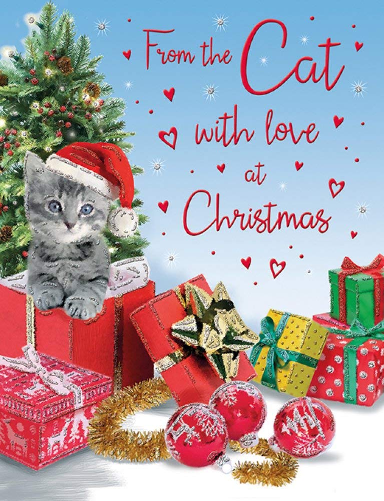 Traditional (cute) Christmas Card From The Cat - 8 x 6 inches - Regal Publishing
