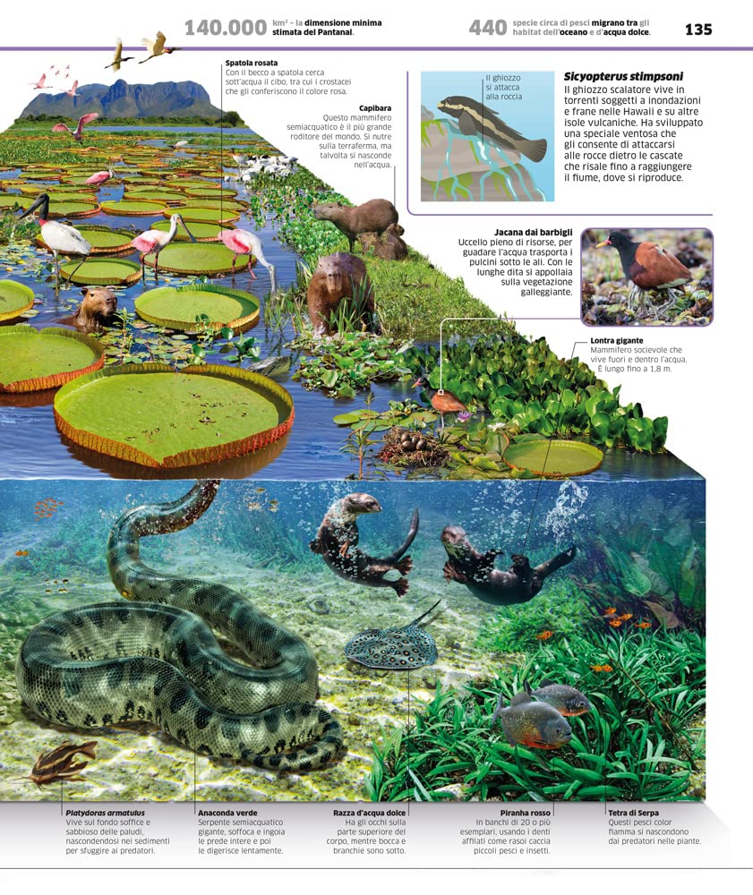 La grande enciclopedia della Terra. Ediz. a colori
