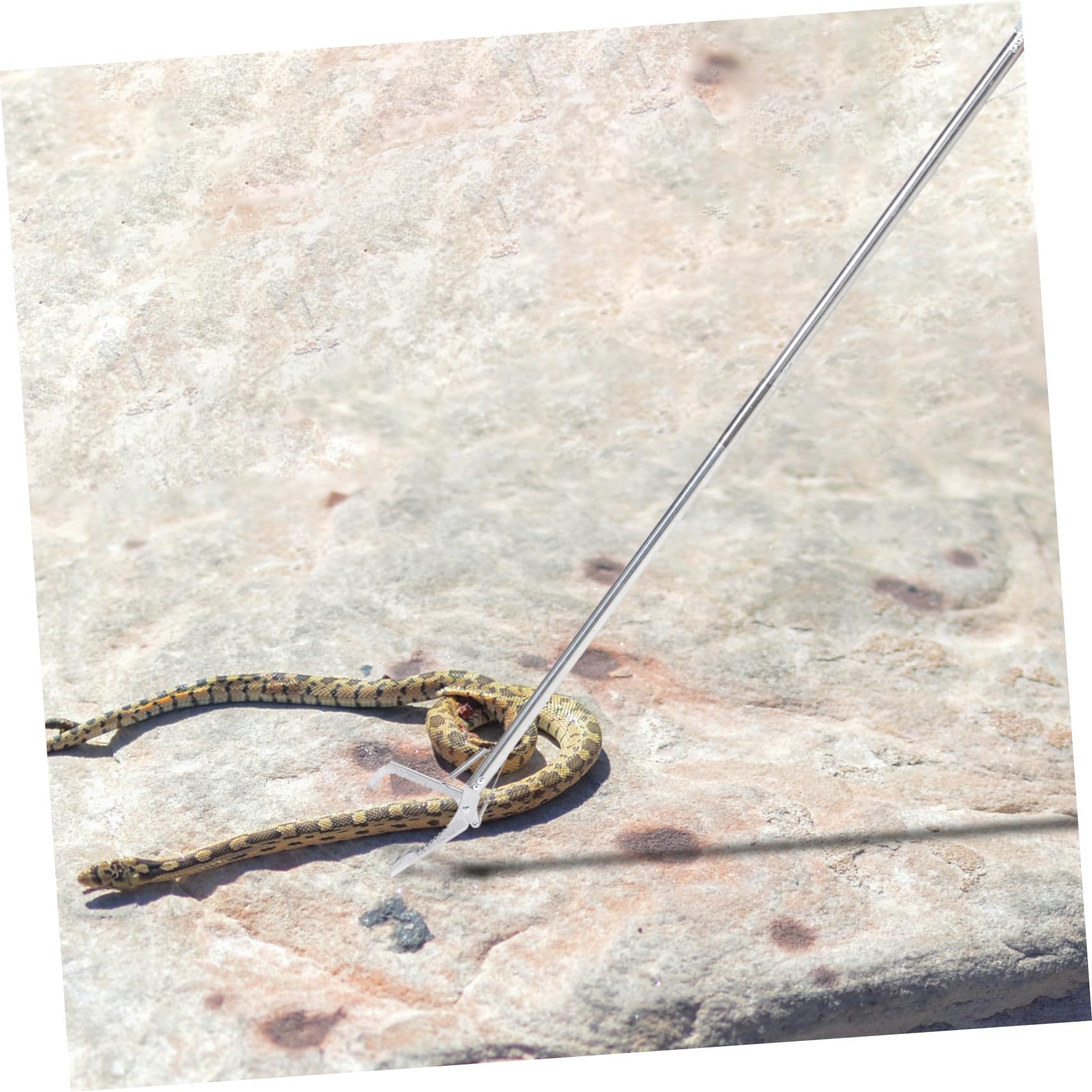 GANAZONO Herramienta para Agarrar Serpientes de Acero Inoxidable, Pinzas Antideslizantes Plegables de 1,2 Metros, Clip Resistente y Seguro para Manipulación de Reptiles en Exteriores