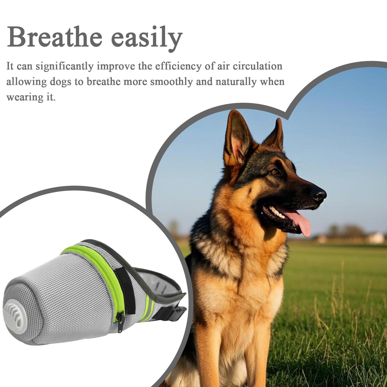 Muselière réglable et respirante pour chiens de petite et moyenne taille idéale pour le dressage, la marche, l'alimentation et éviter de lécher à l'extérieur