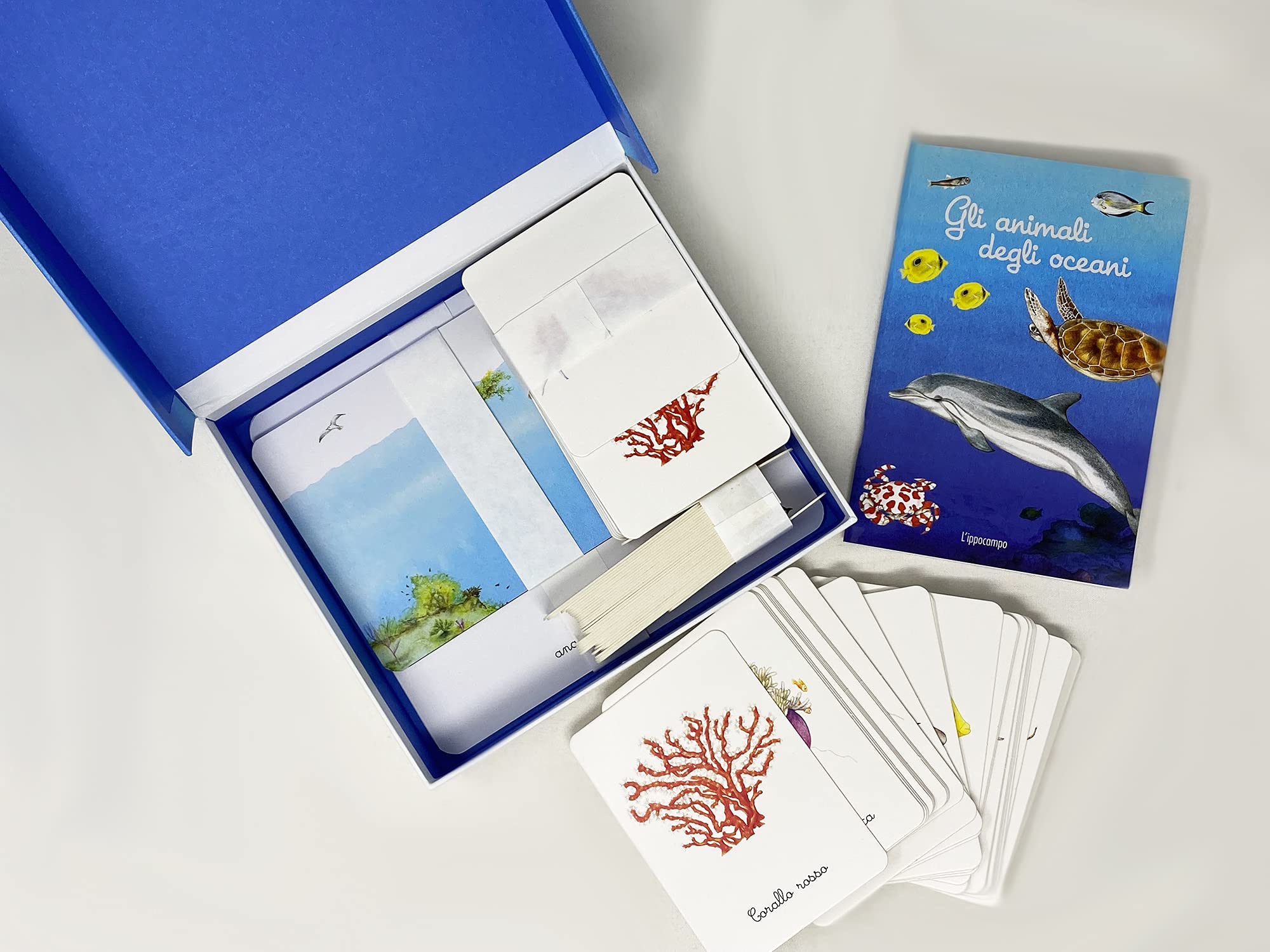 Il mio cofanetto Montessori degli oceani. Ediz. a colori. Con 90 carte degli animali. Con 5 carte degli strati dell’oceano. Con 43 etichette. Con 5 tavole anatomiche