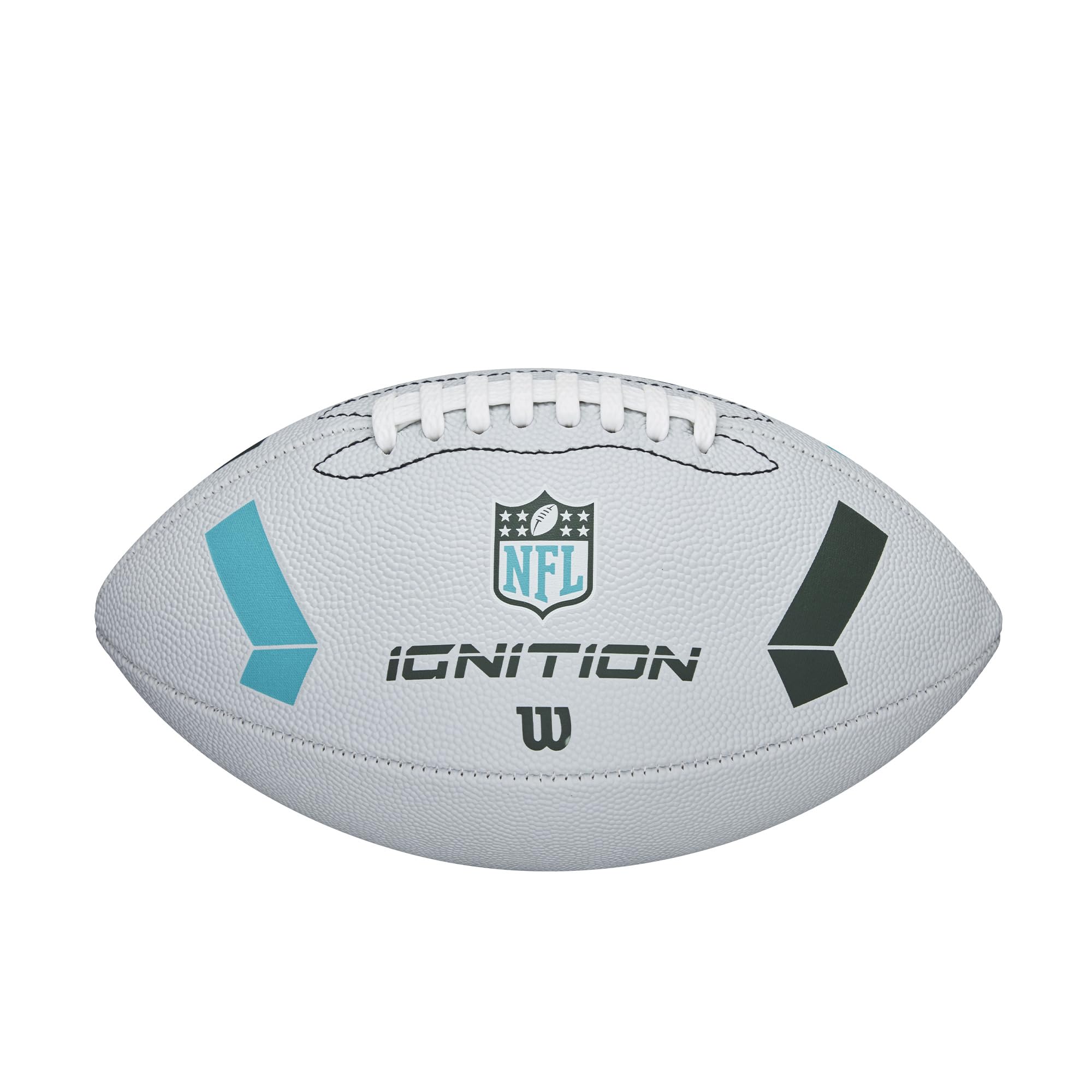 WILSON NFL Recreational Footballs