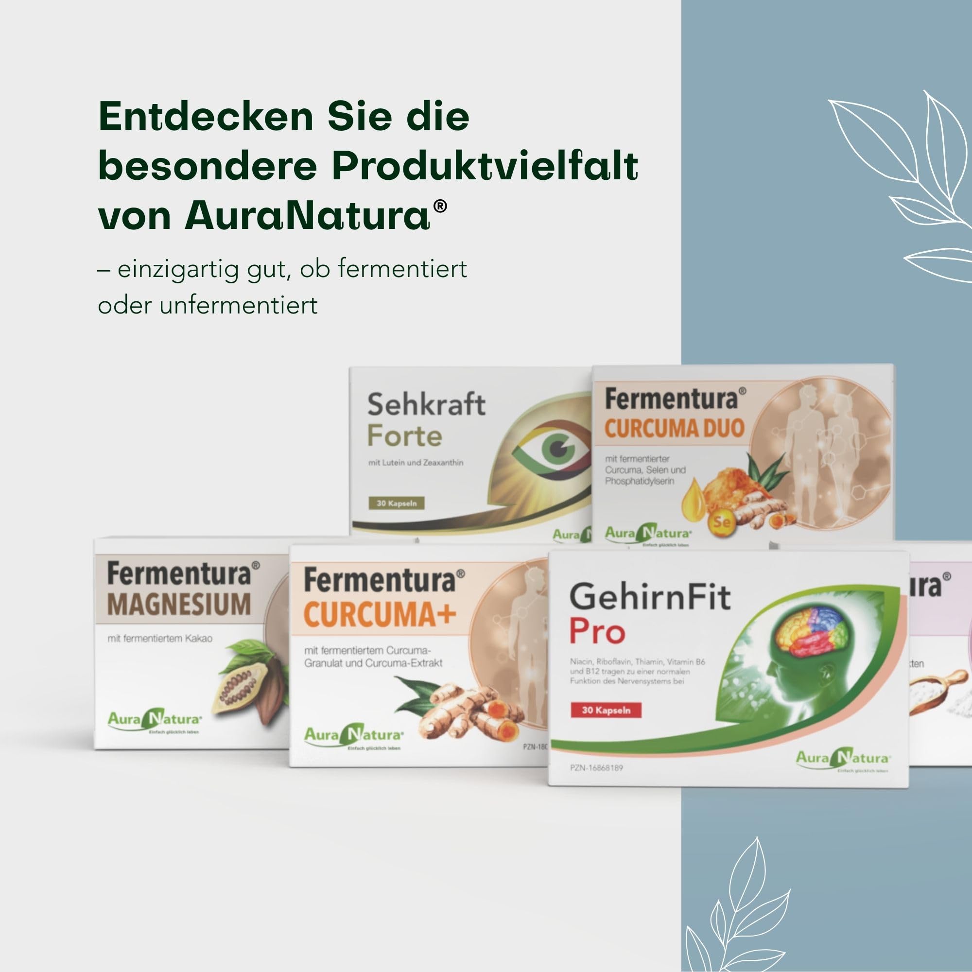 Fermentura BlasenVital, D-Mannose Cranberry-Extrakt für Blasenentzündungen | Natürliche Unterstützung bei Blasen- & Harnwegsproblemen | 60 Kapseln, 1er-Pack | Vegan