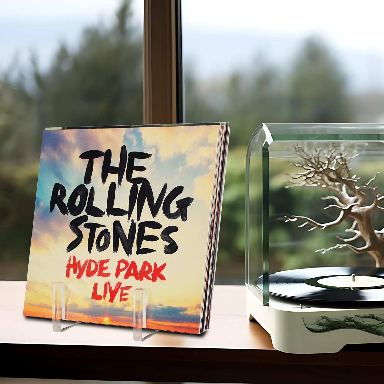 Vinyl Record Storage - Clear Acrylic Record Holder and Book Organizer. Stylishly showcase your vinyl collection and keep books and folders neatly organized (small)