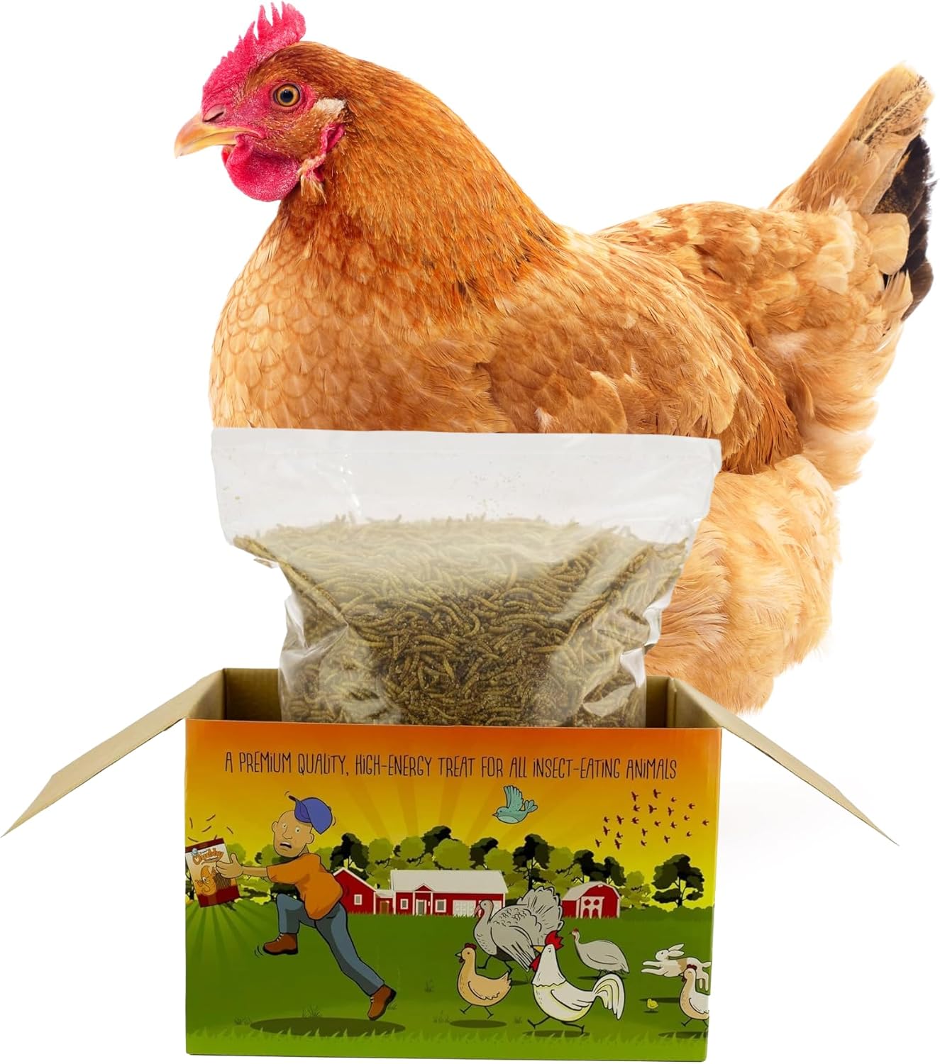 Chubby Dried Mealworms 3Lb Premium Non-GMO Dried Mealworms for Chickens High Protein Chicken Feed Meal Worms for Wild Birds