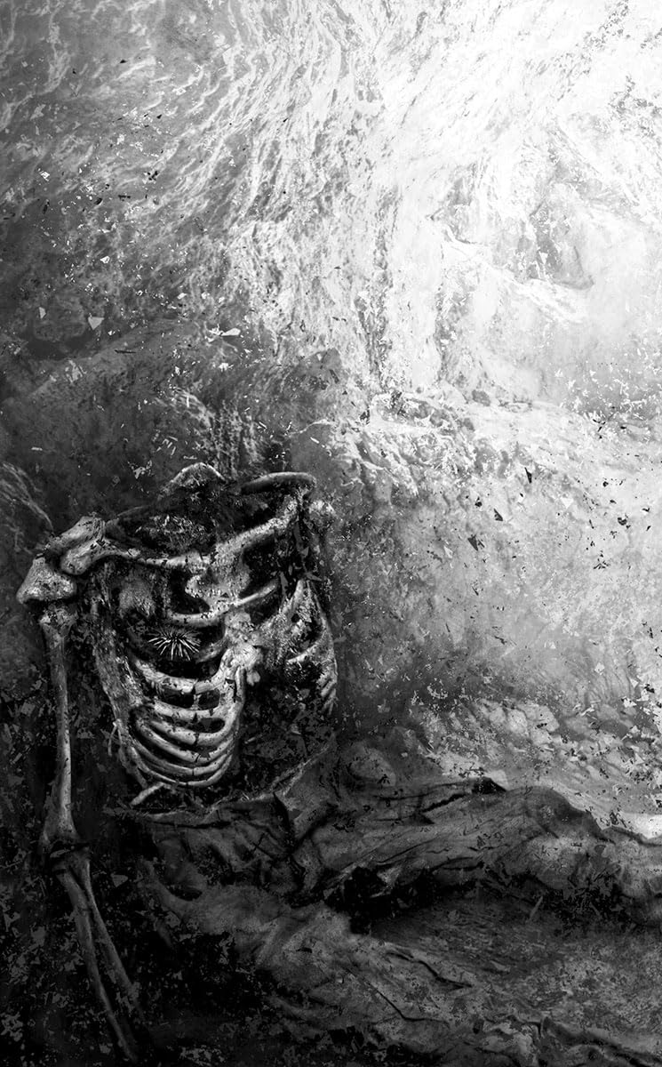 Cemetery Dance Germany SELECT '24 - LOVECRAFTIAN VIBES: Alle fünf Bände der 2024er Ausgabe von Cemetery Dance Germany SELECT im Sammlerschuber. ... VIBES: erschienen im Buchheim Verlag)