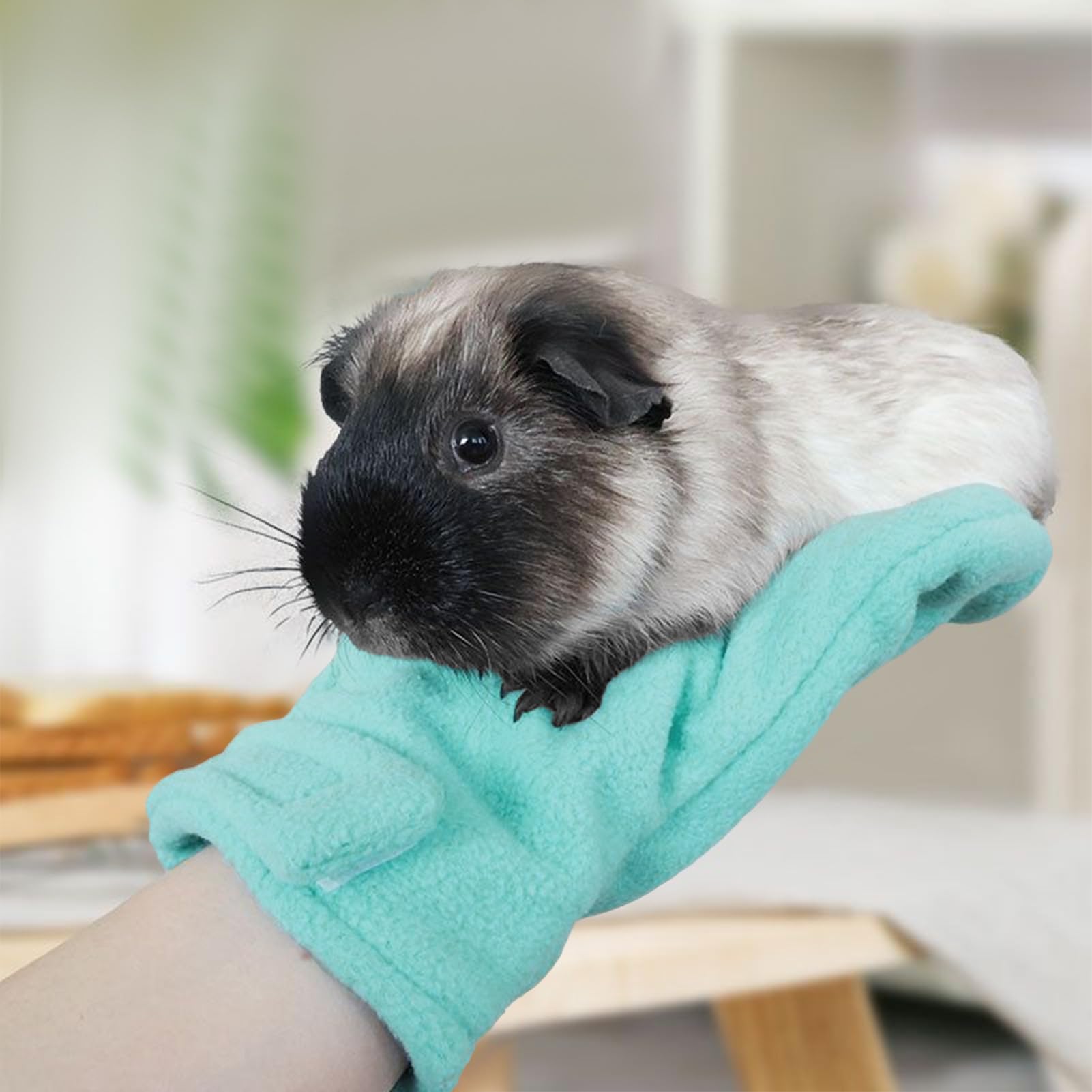 Gants anti-morsures - Protection contre les rayures pour chats et chiens - Mitaines et sûres pour couper les ongles et prendre soin des animaux : écureuils, lézards, serpents, oiseaux, hérissons