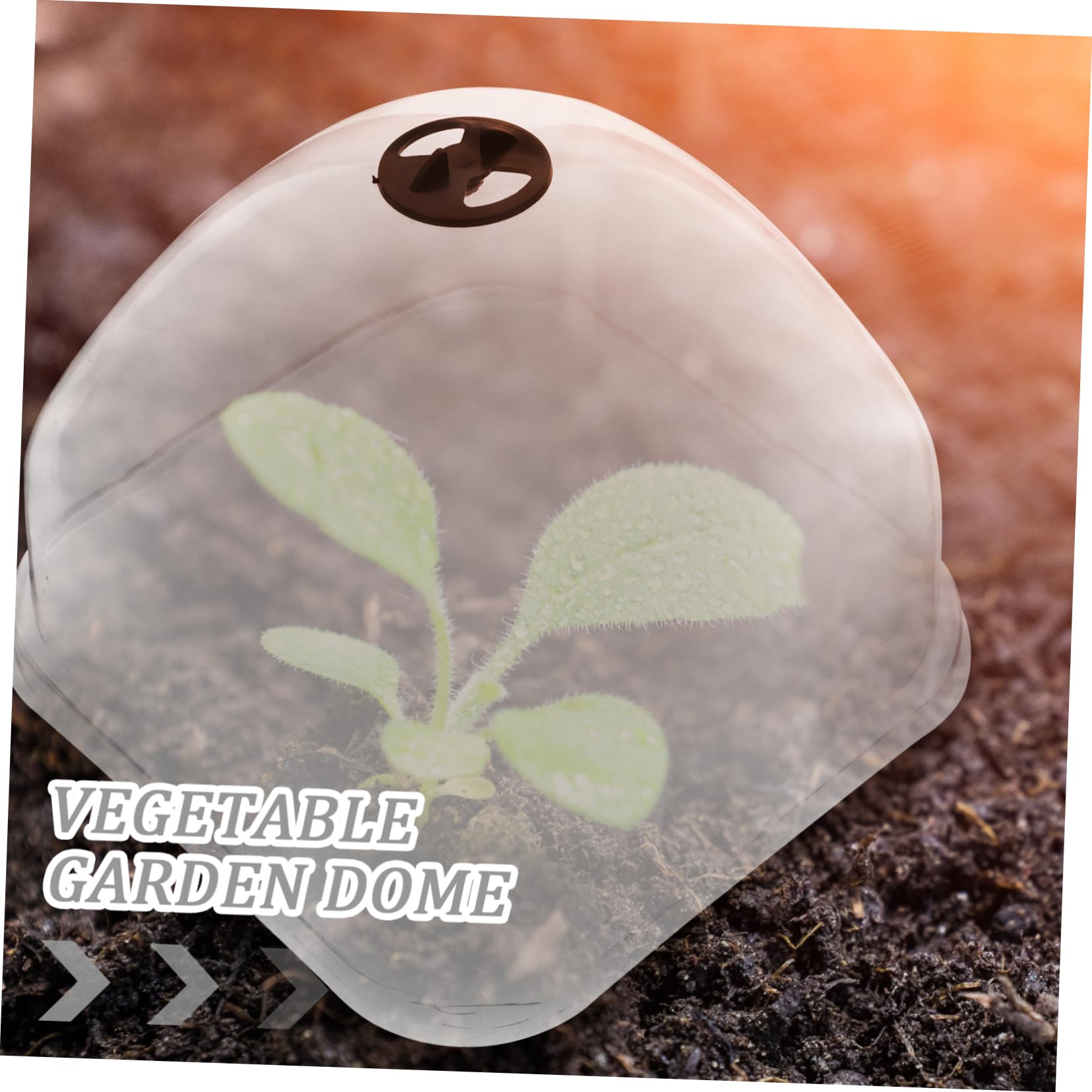 IWOWHERO 10Pcs Reusable Garden Dome Plant Protection Cover Transparent Cloche for Flowers Plants Durable Humidity Dome for Home Gardening Landscape Projects