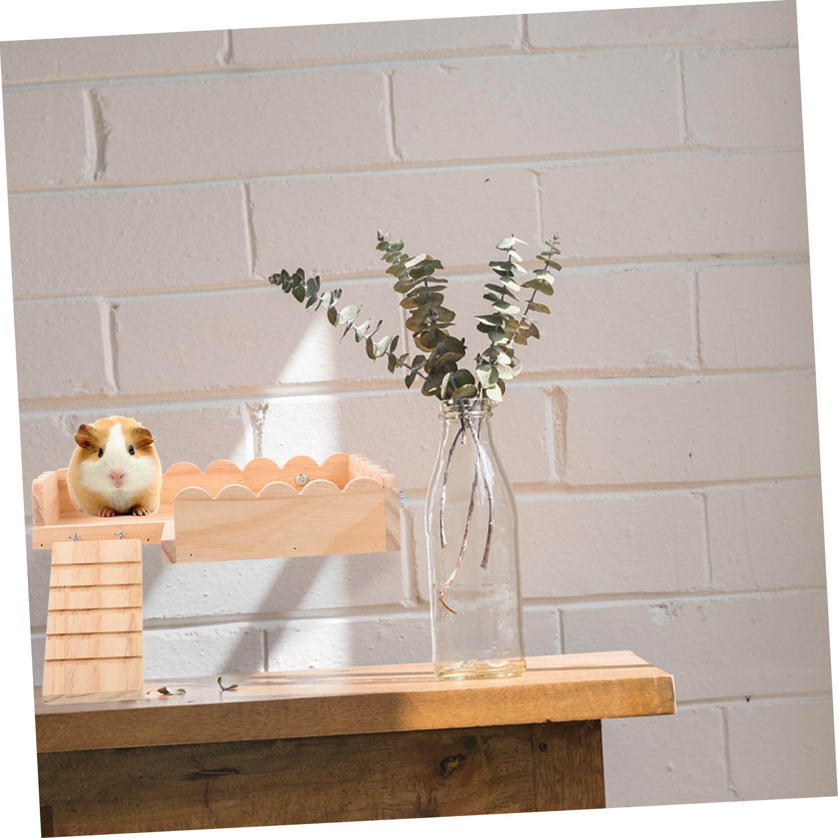 Hohopeti Hamster Plattform Holzspielzeug mit Leiter Stabile Kleintier Basis zum Klettern und Ruhen Langlebiges Holz für Hamster Meerschweinchen und Kleine Nager Einfache Installation