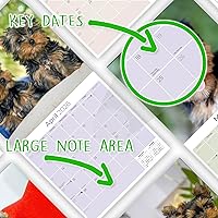 Vista 1166 de Razas de Perros 2017