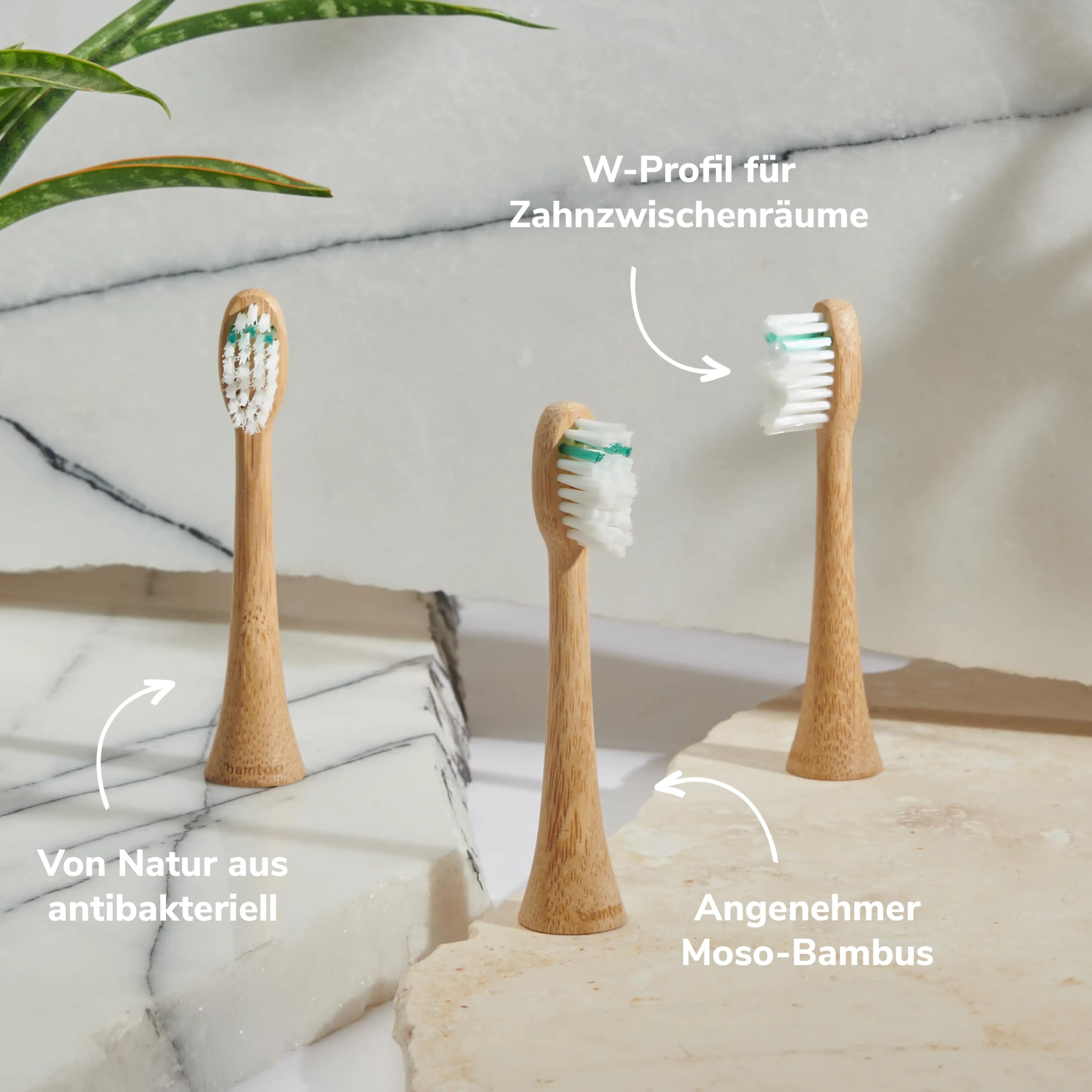 Ersatzköpfe Schallzahnbürste - Mittelharte DuPont™ Borsten, mit nachhaltigem Bambus-Holz - Passend für KOA V2 Schallzahnbürste - 3x3 Stück