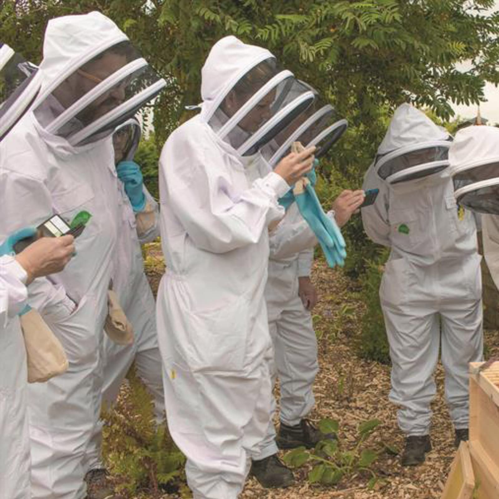 Tuta da apicoltura, giacca da apicoltura, da donna, colore bianco, per apicoltori professionali e principianti (L)