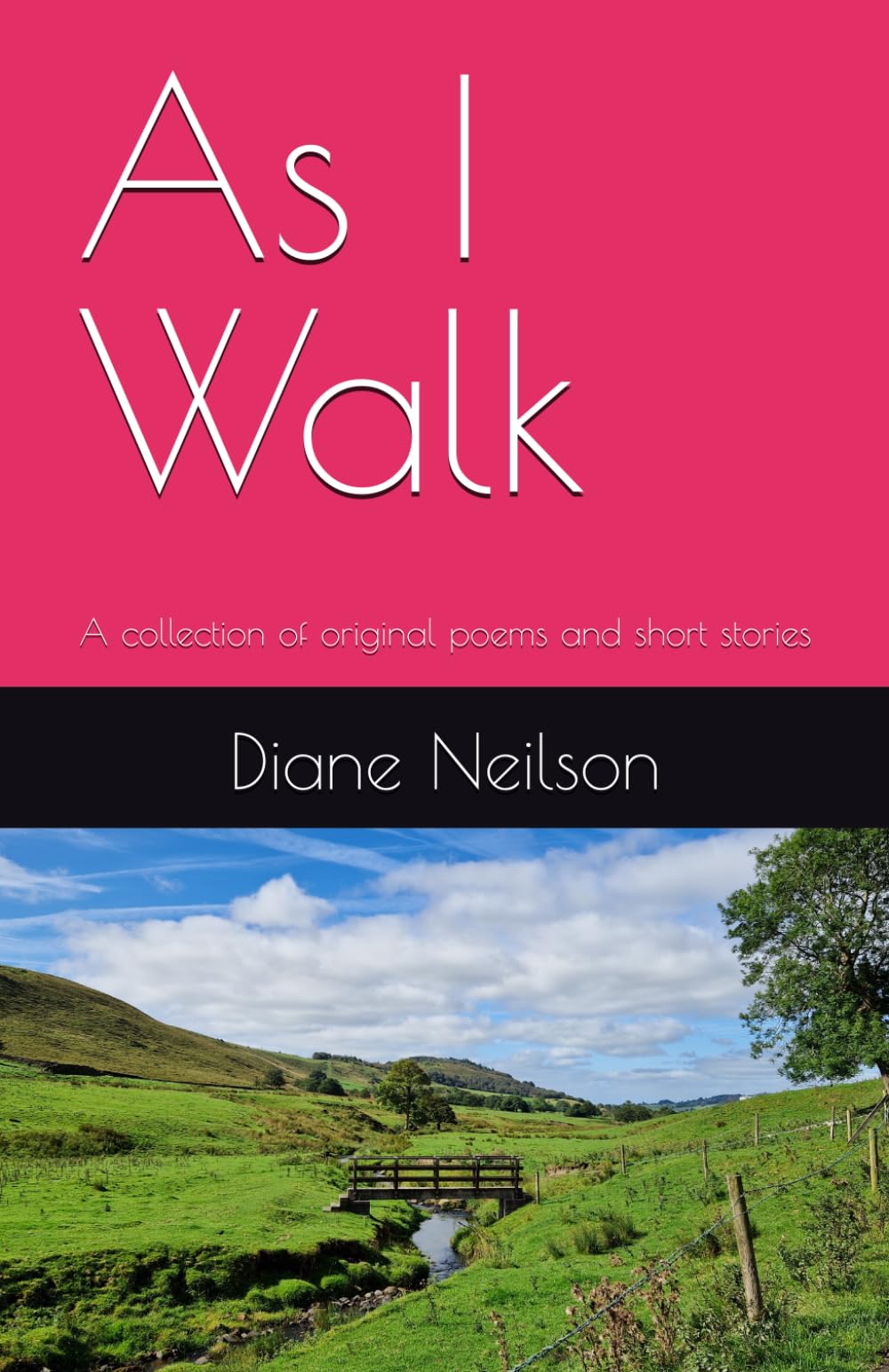As I Walk: A collection of original poems and short stories