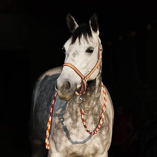 Miniatura 4 de HORZE Cabestro ajustable Adepto  Poliéster suave y duradero - Coral Gold - Warmblood