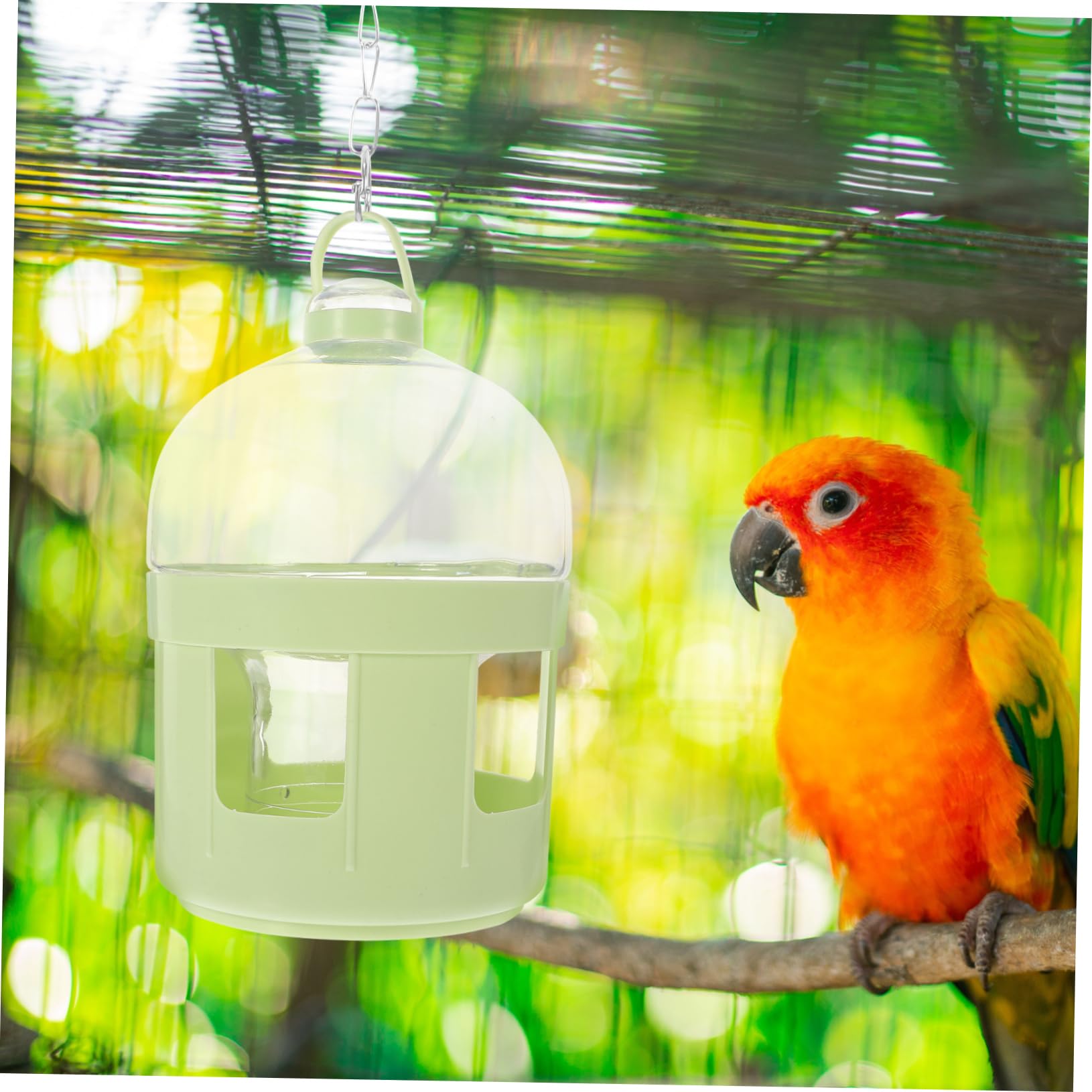 BESPORTBLE 2stücke Vogelfutter Wasserbehälter Automatischer Wasserspender Für Tauben Und Andere Vögel Praktischer Trinker Für Haustiere Robust Und Sicher Für Gesundes Trinken Grünes