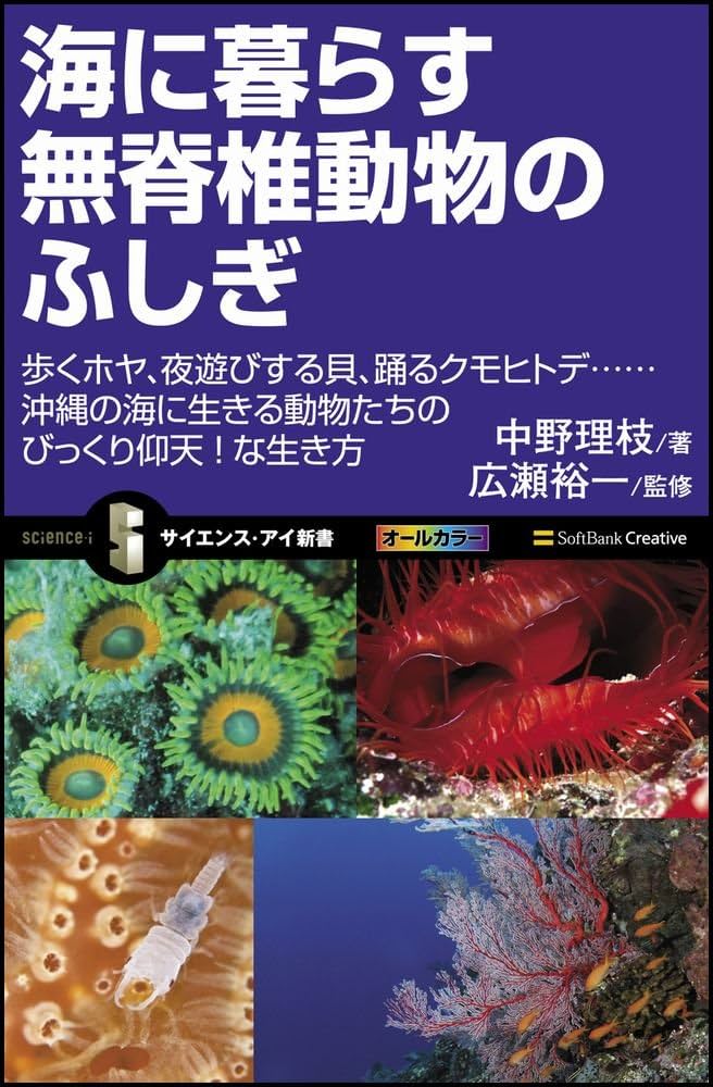 Amazon.co.jp: 海に暮らす無脊椎動物のふしぎ (サイエンス・アイ新書