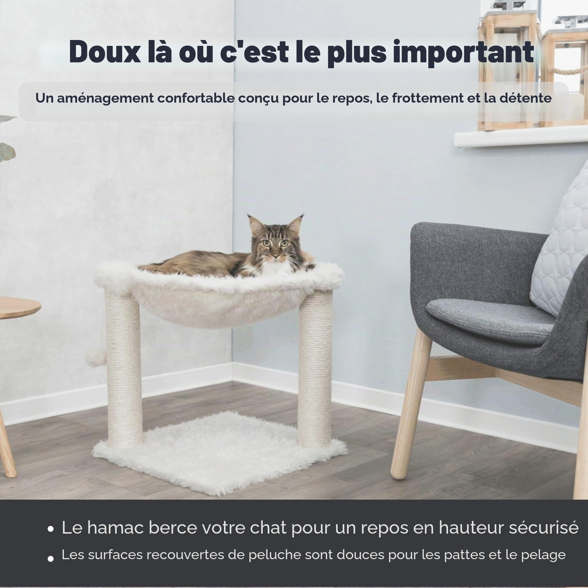 TRIXIE Arbre à chat compact Baza pour petits chats – Crème – 50 cm