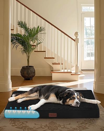OhGeni Cama ortopédica impermeable y lavable a máquina para mascotas medianas y grandes, adecuada para jaulas, espuma de jaula de huevos 25D, parte