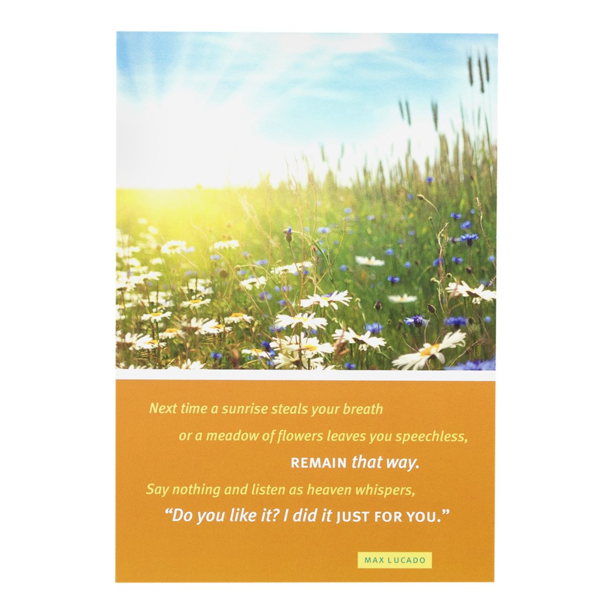 DaySpringML- NEXT TIME A SUNRISE... (6)