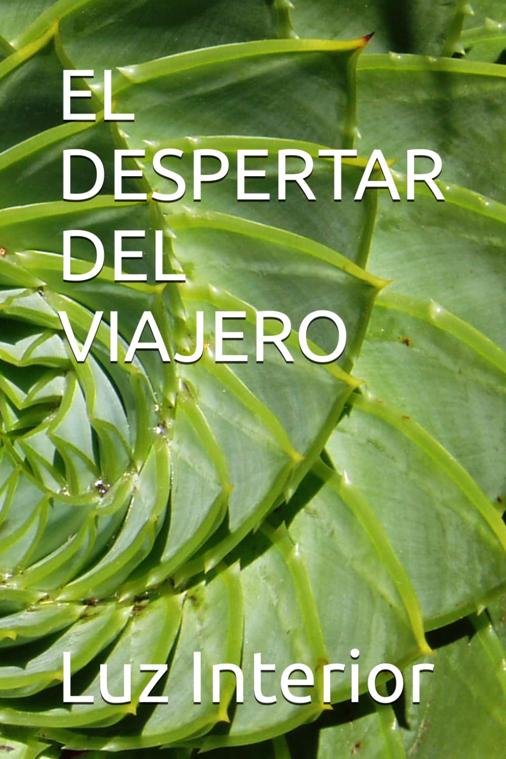 EL DESPERTAR DEL VIAJERO
