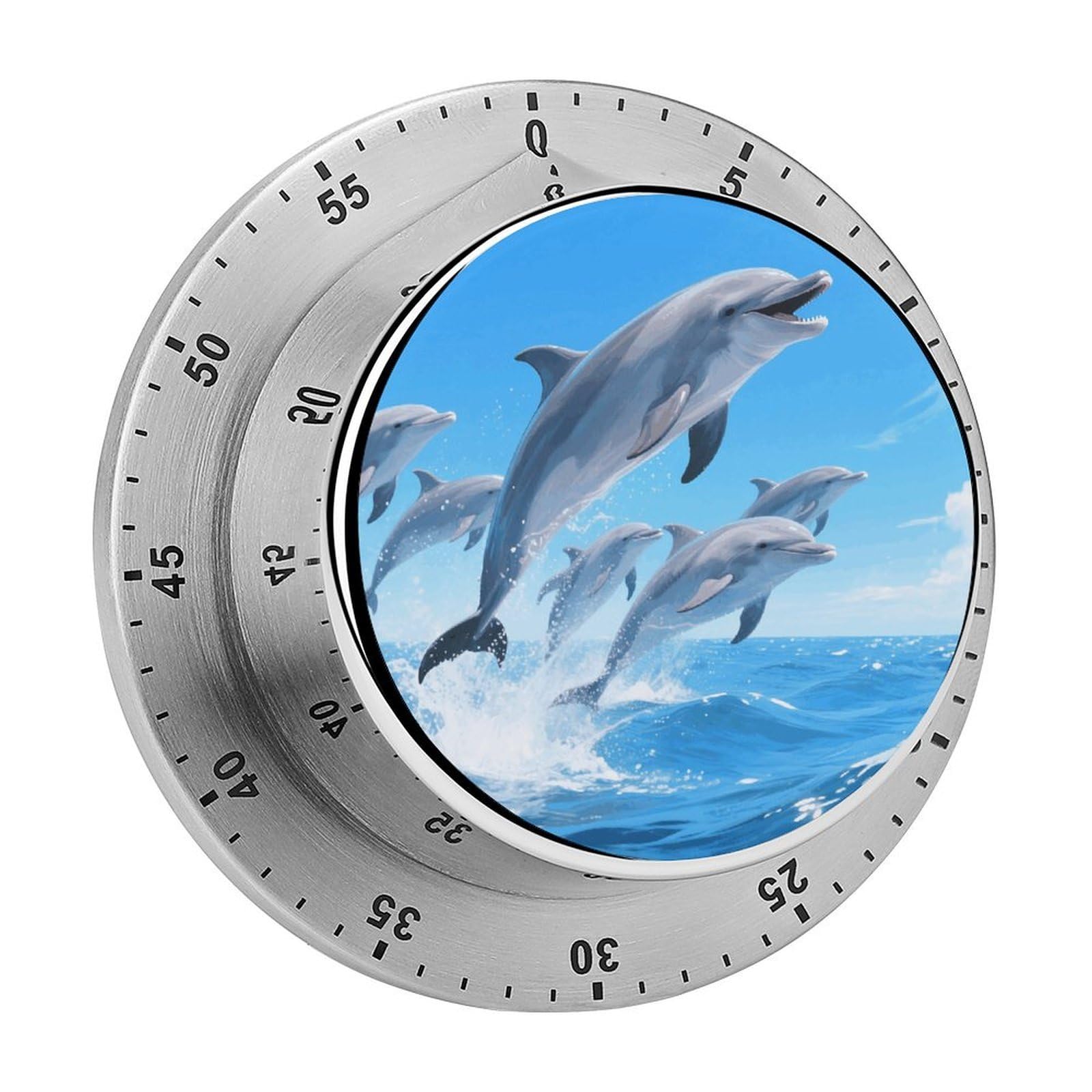 Dolphins Timer Digital Stainless Steel Kitchen Timers with Loud Alarm Visual Timers Magnetic Countdown Countup Timer for Homework Chores Office Time Management