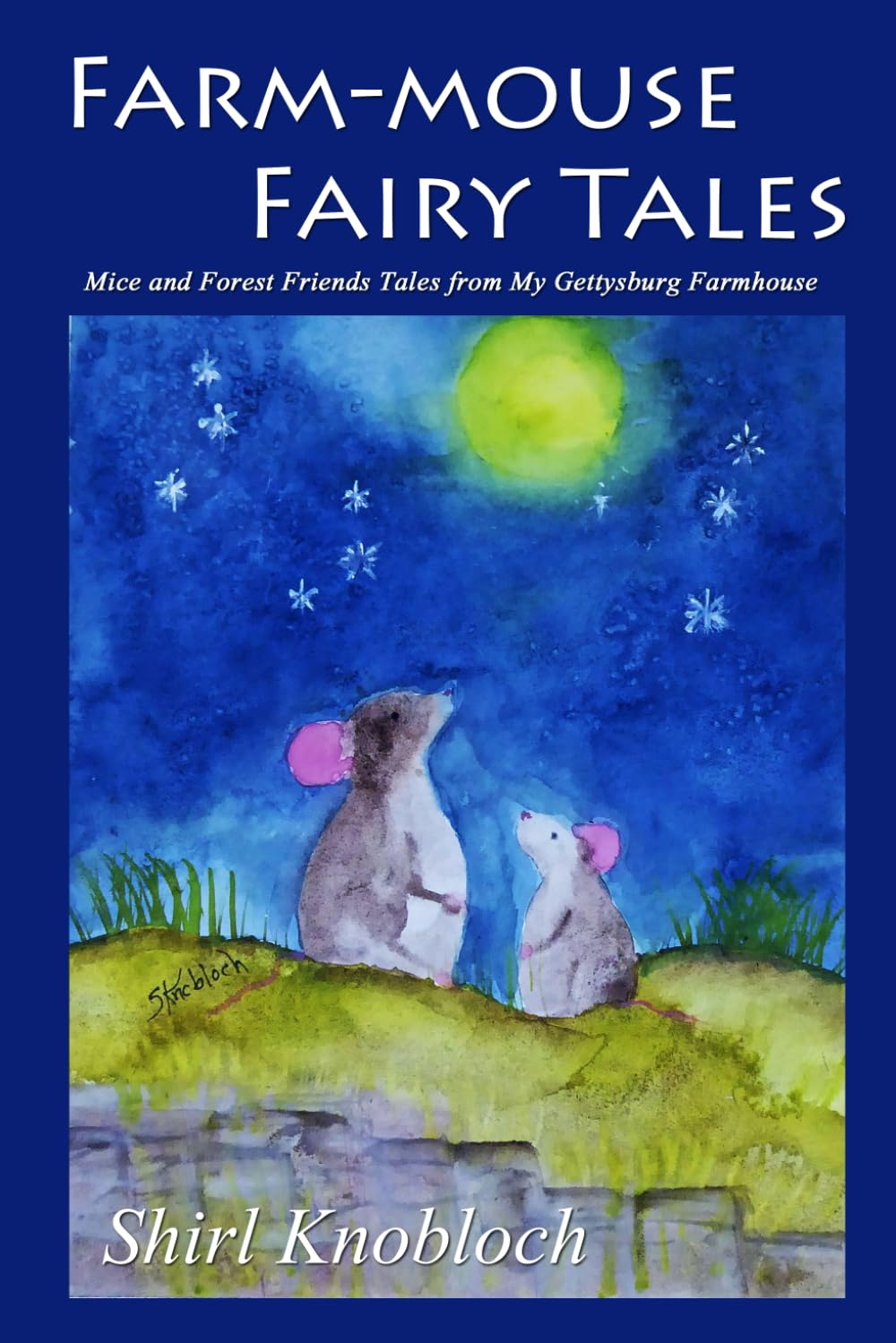 Farm-mouse Fairy Tales: Mice and Forest Friends Tales from My Gettysburg Farmhouse