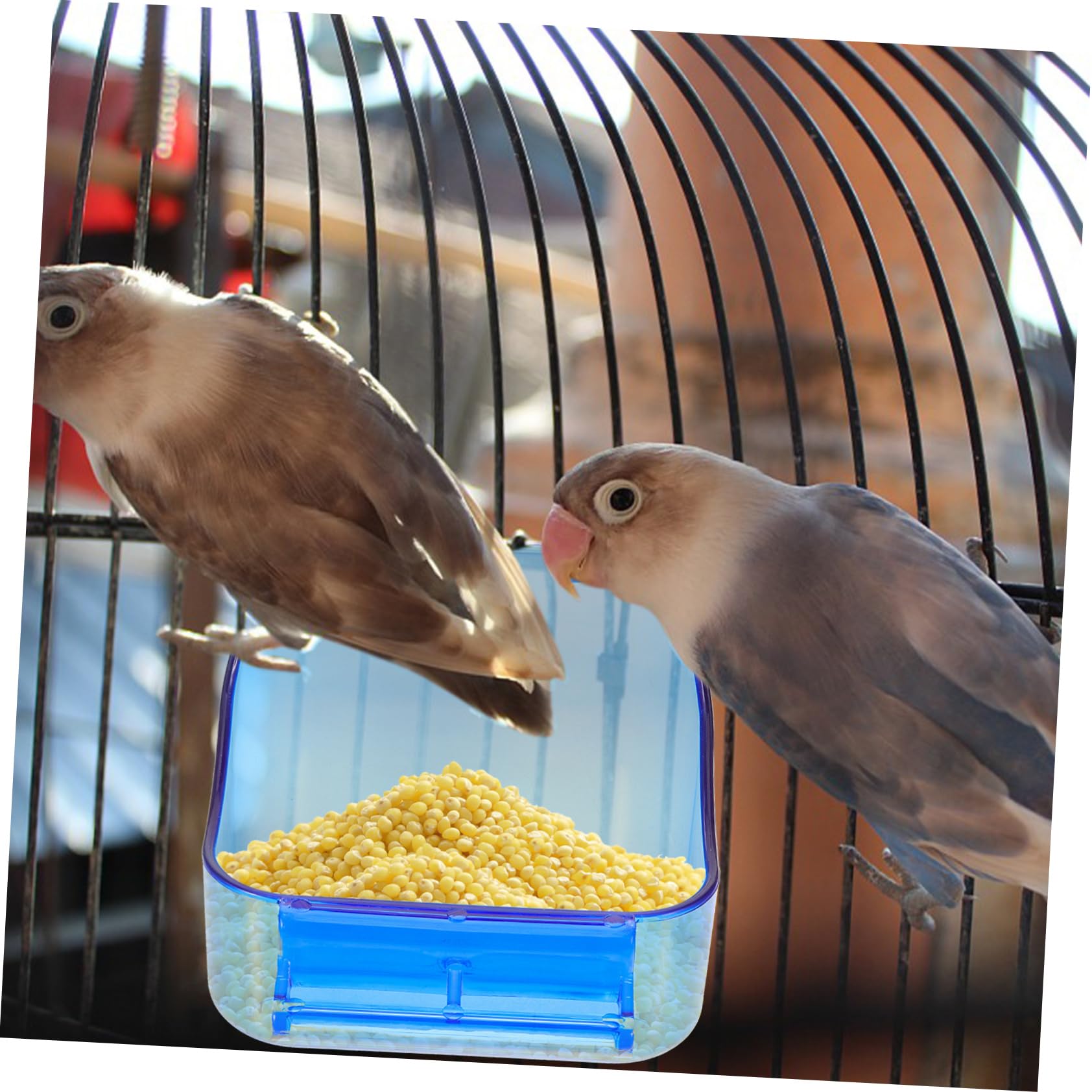 Mipcase 5pezzi Bagnetto Per Uccelli Vaschetta Per Pappagalli e Parakeet Accessorio Da Gabbia Sicuro e Facile Da Pulire Per Canarini e Uccelli Di Piccole